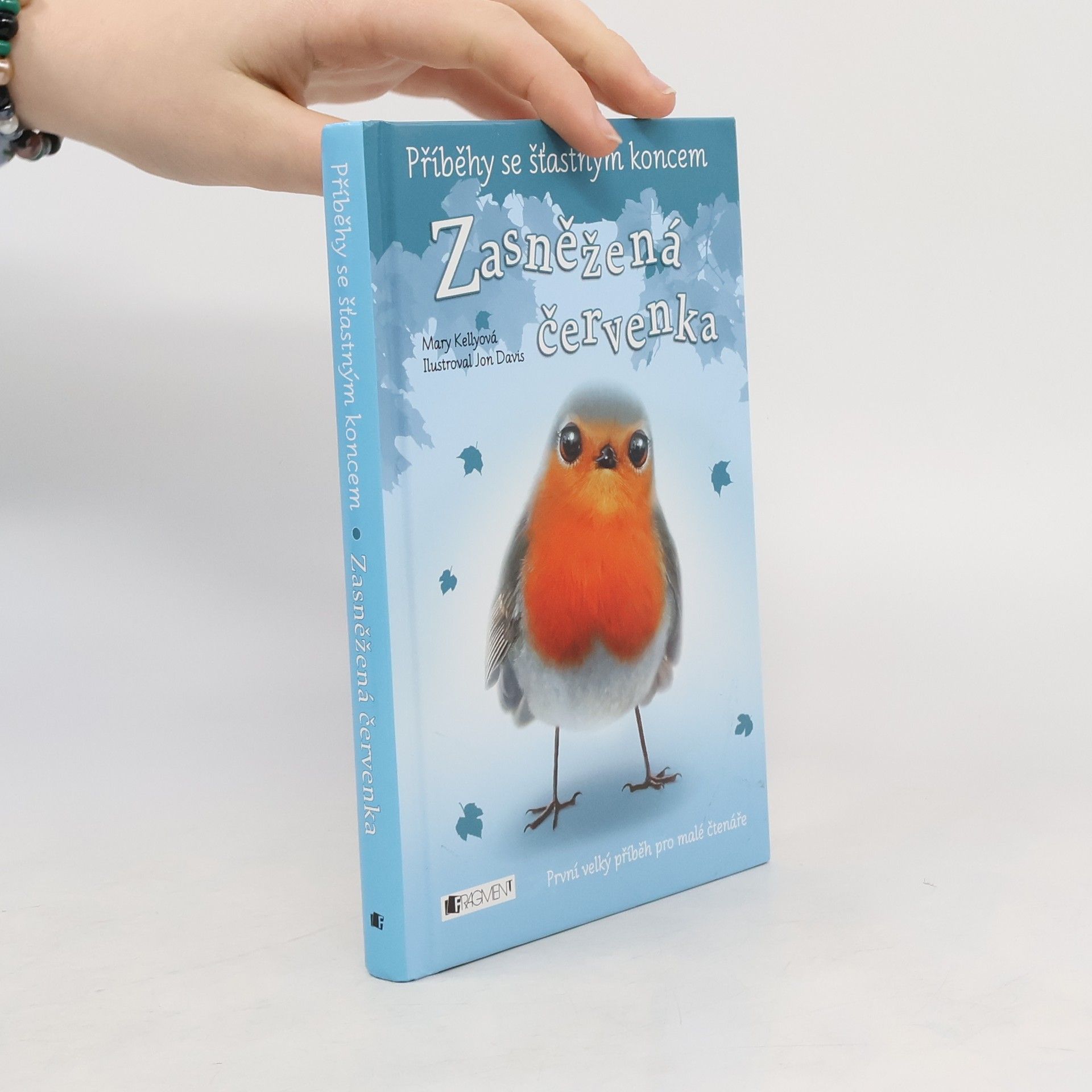 Mary Kelly Zasněžená červenka