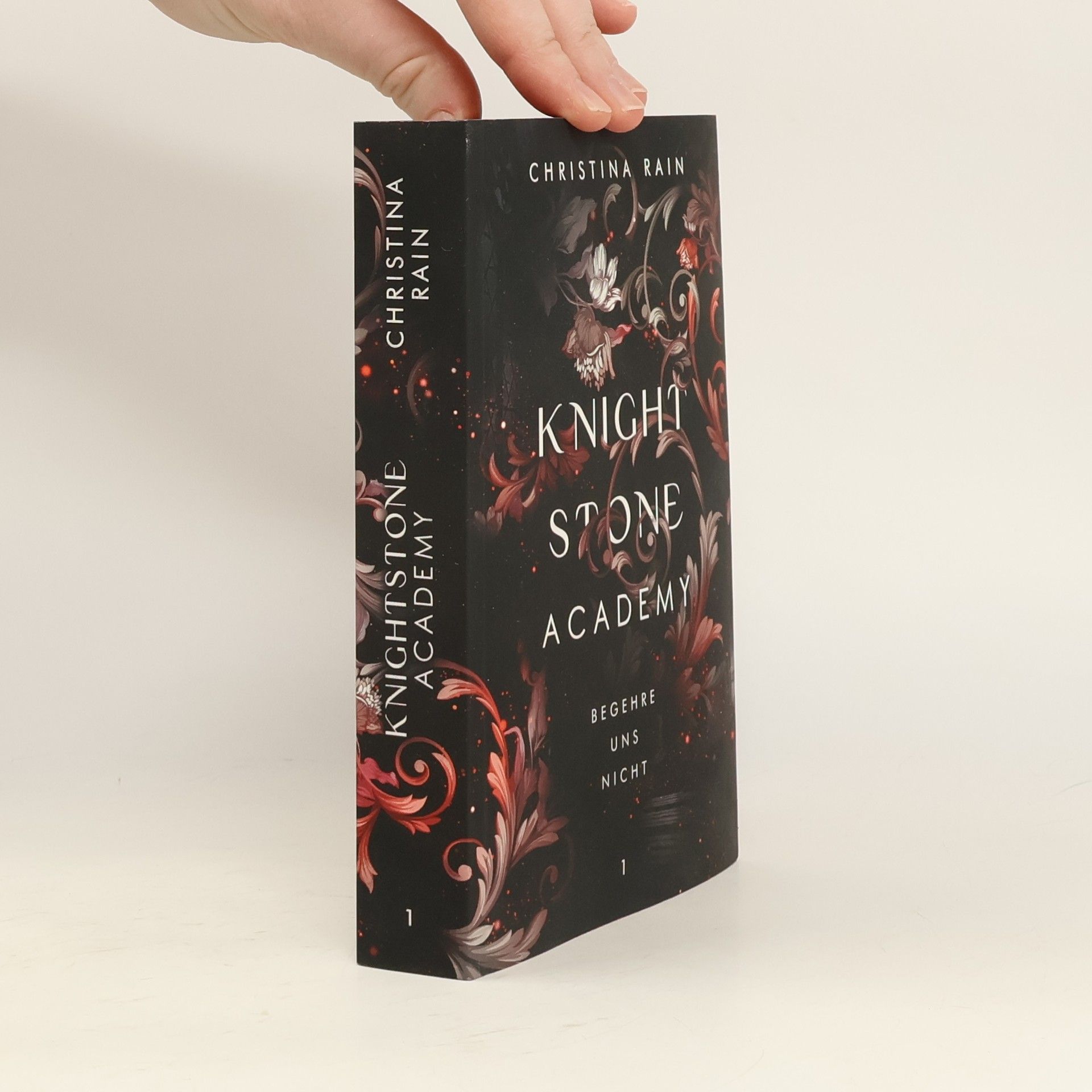 Knight Stone Academy 1