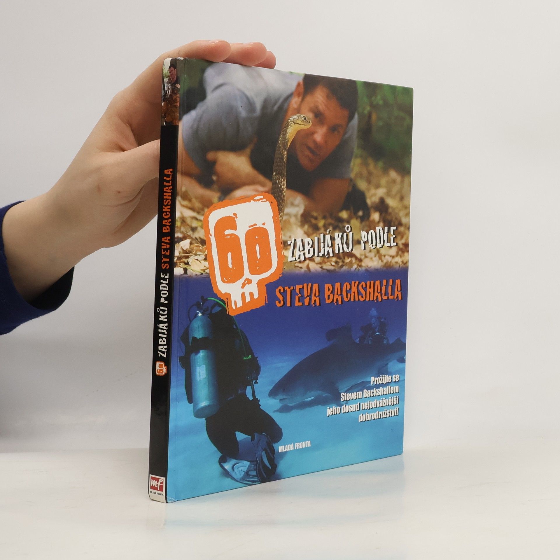 60 zabijáků podle Steva Backshalla