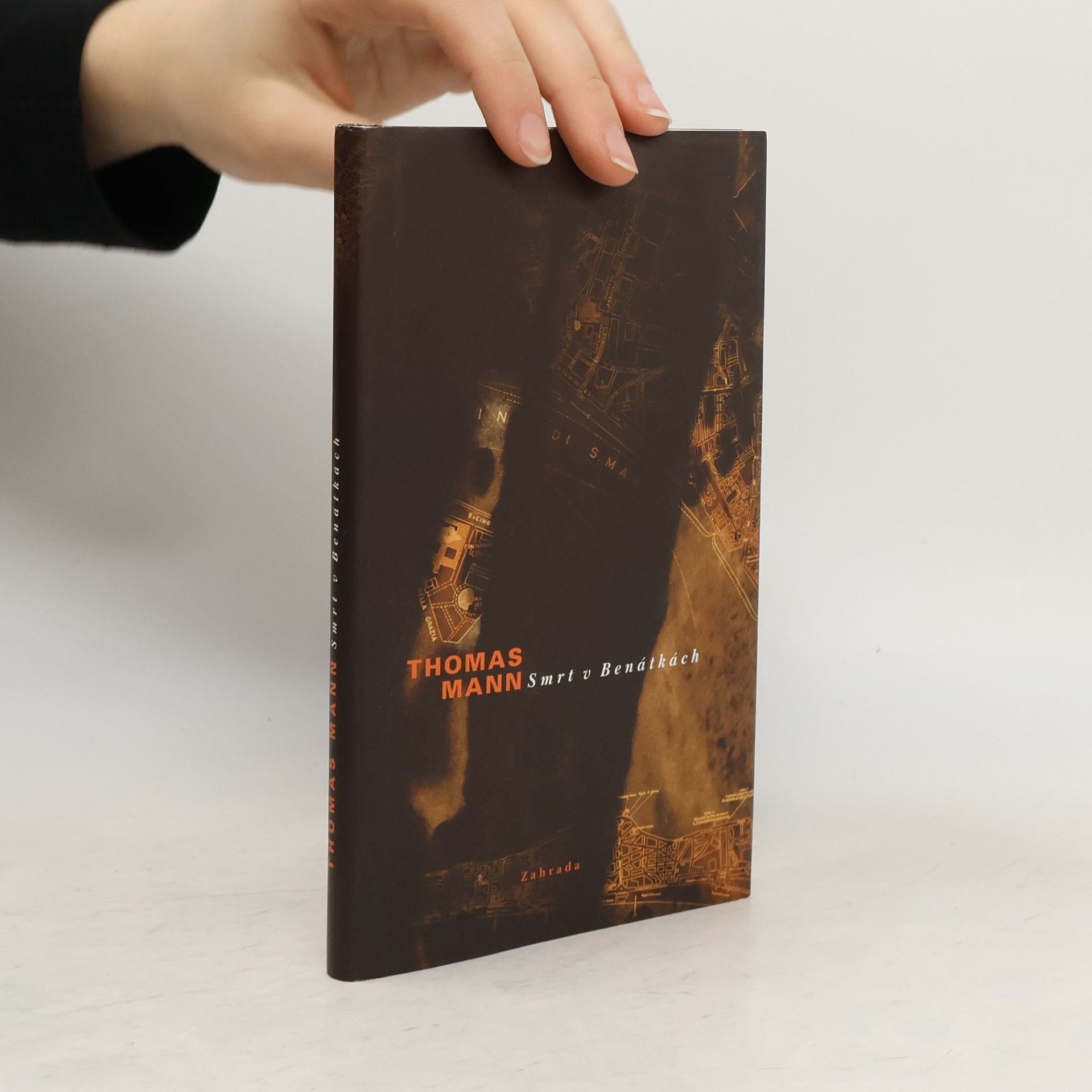Thomas Mann Smrt v Benátkách