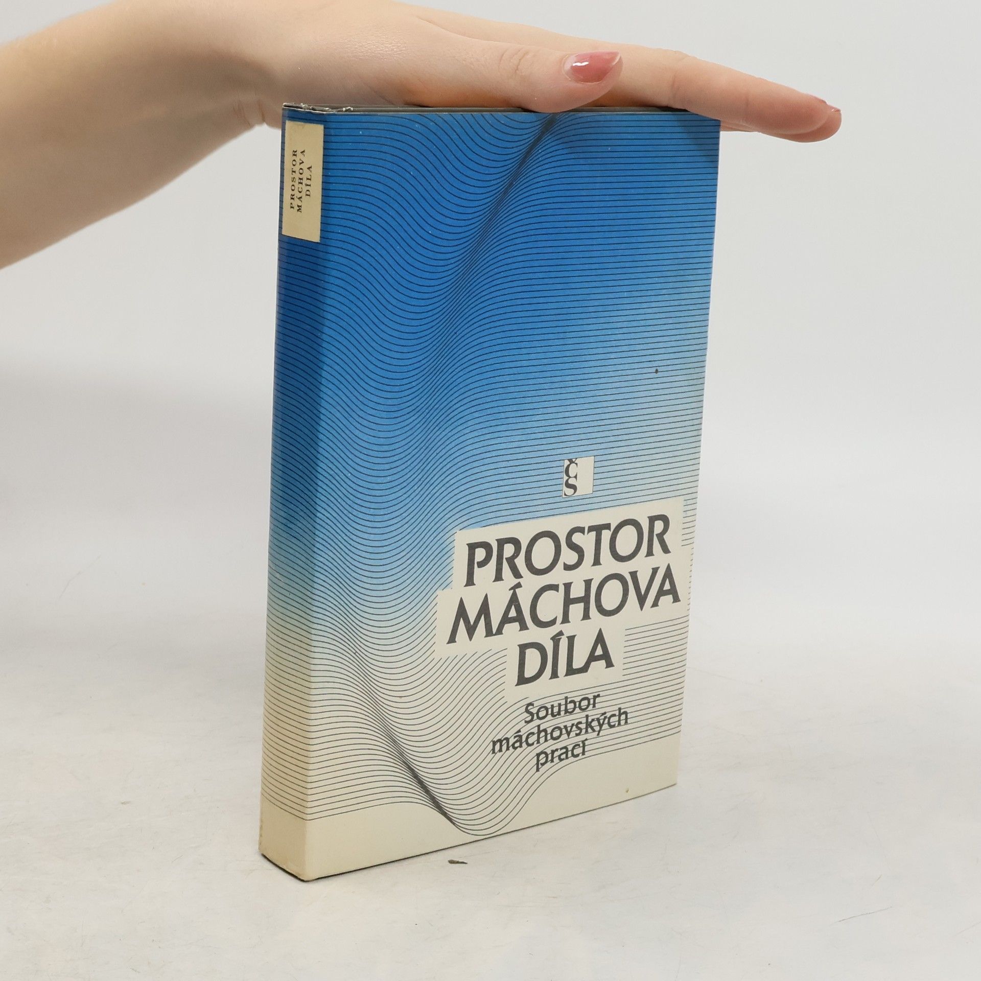 Karel Hynek Mácha Prostor Máchova díla