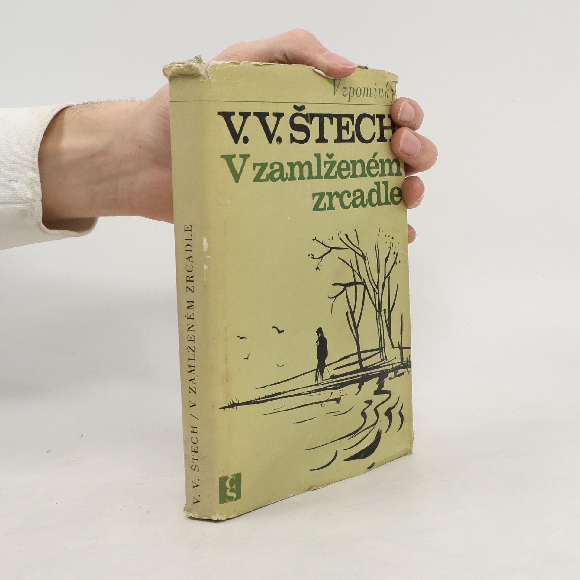 V zamlženém zrcadle 1