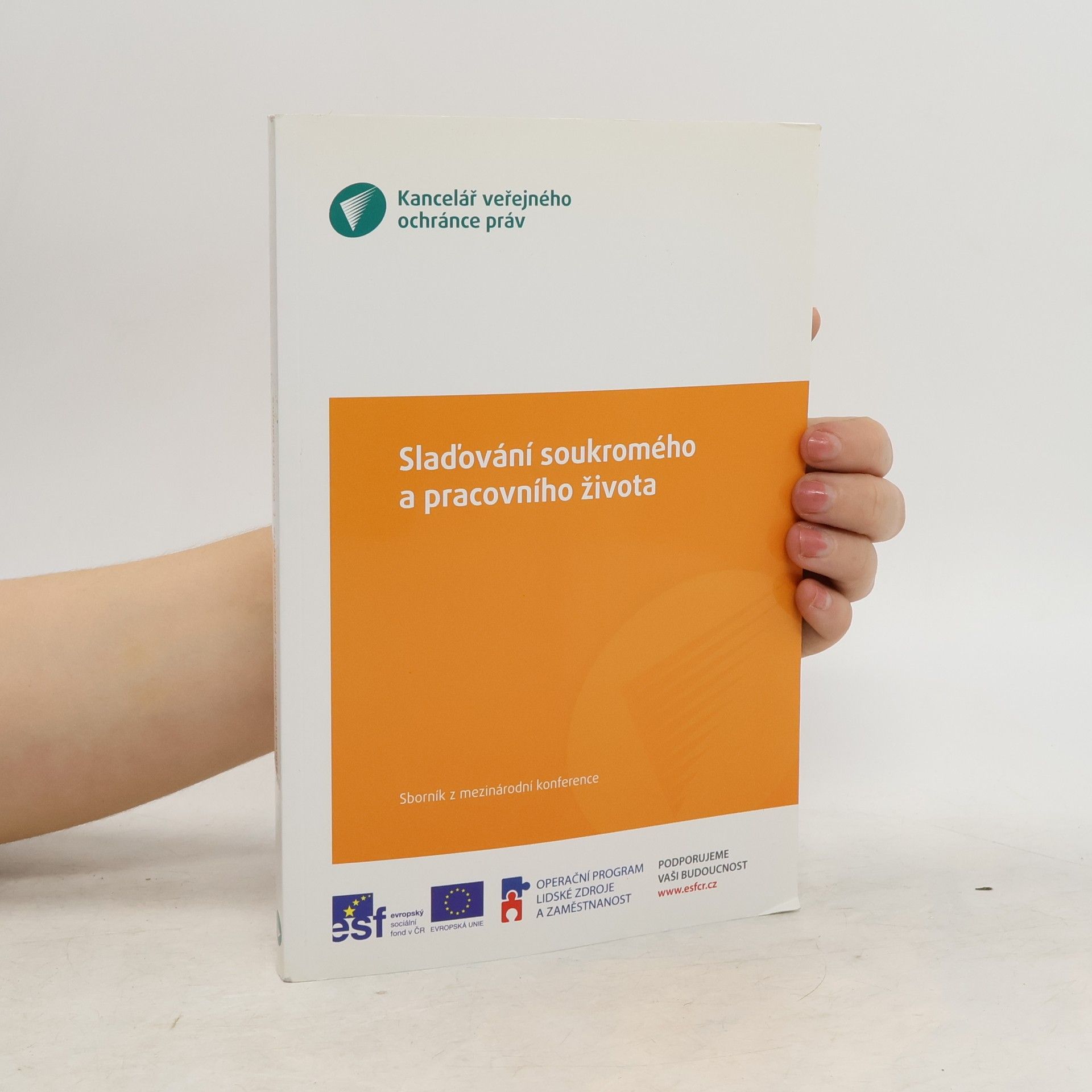 Kolektív autorov Sladování soukromého a pracovního života