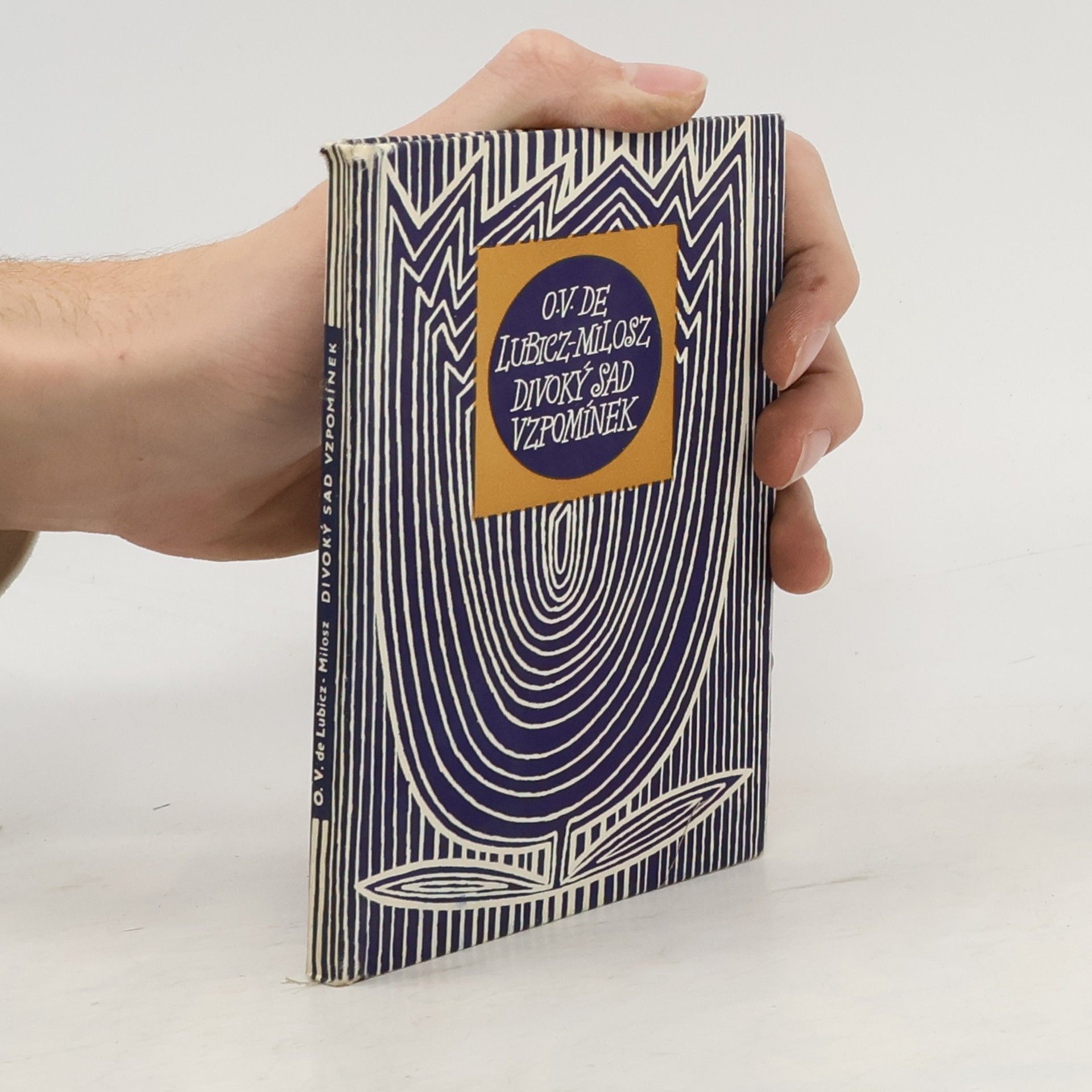 Divoký sad vzpomínek