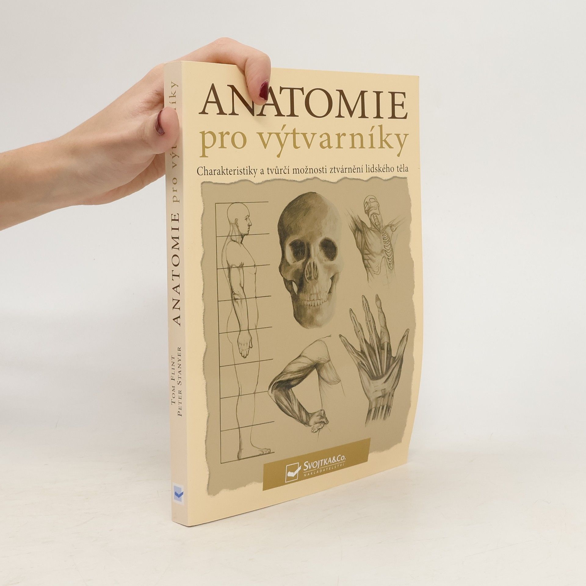 Anatomie pro výtvarníky