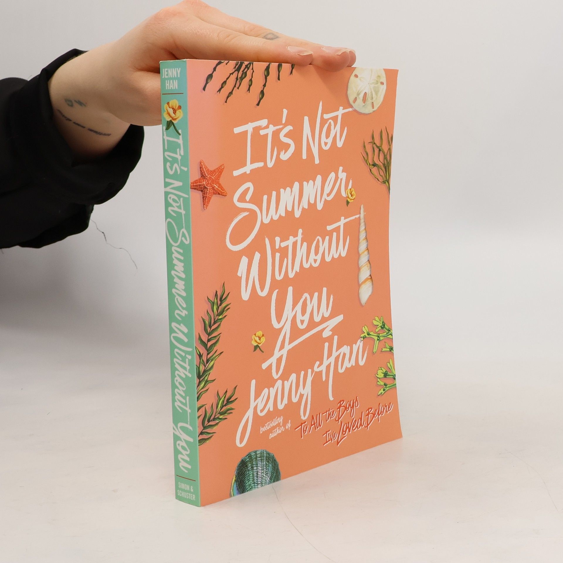 Jenny Han It's Not Summer Without You