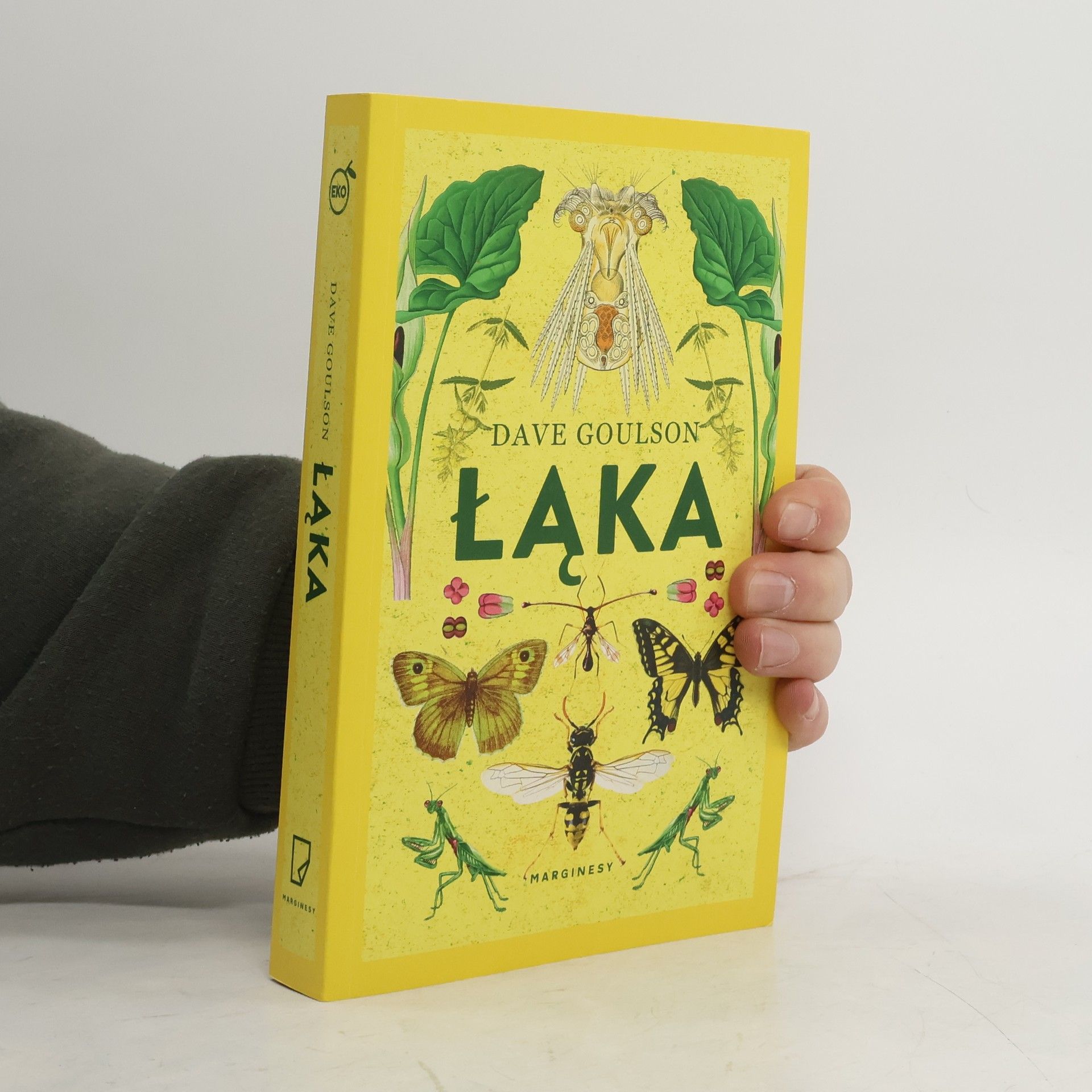 Karolina Iwaszkiewicz Łąka