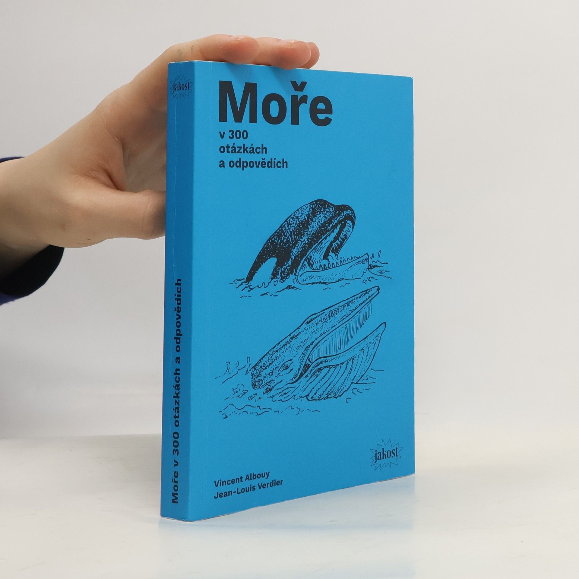 Vincent Albouy Moře v 300 otázkách a odpovědích