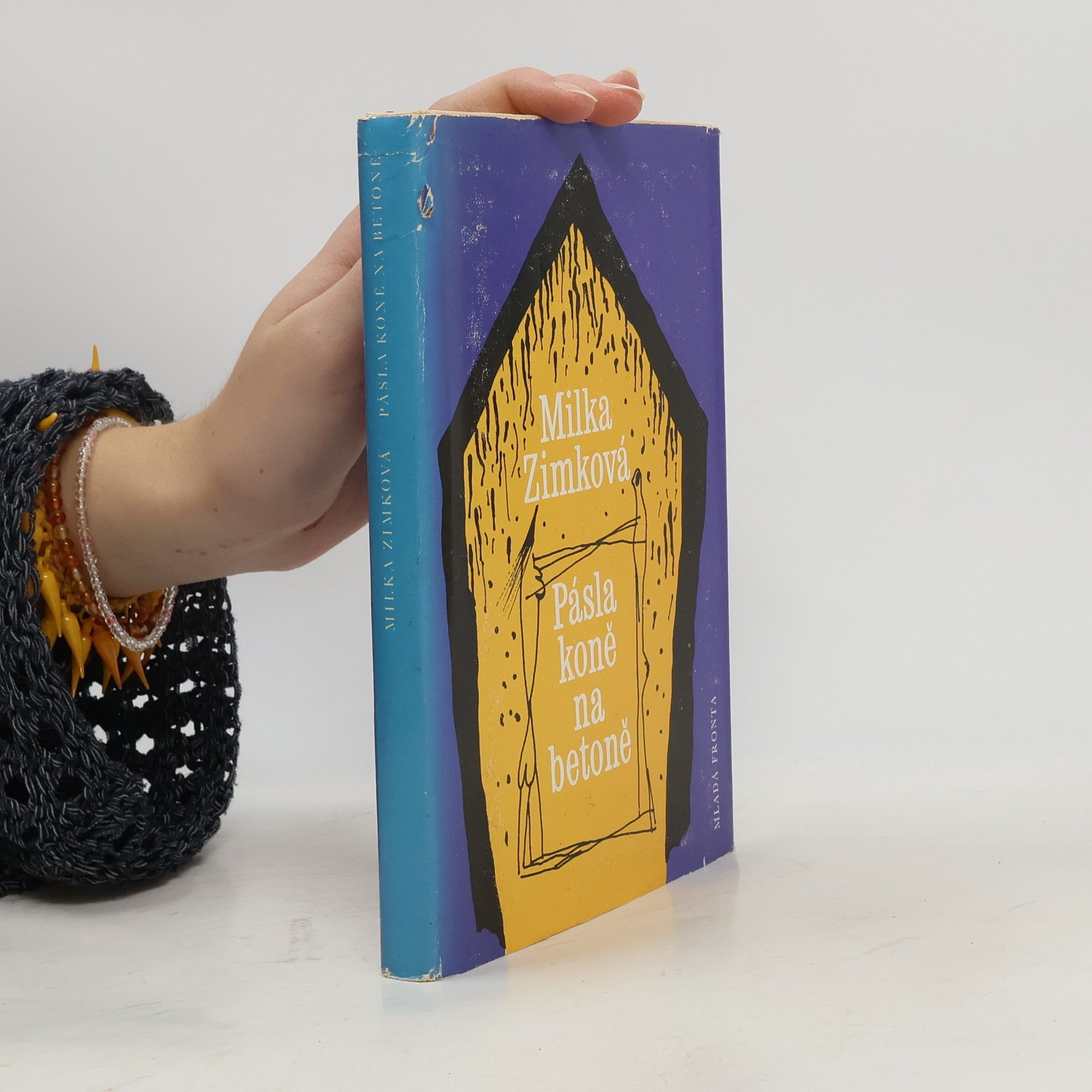 Pásla koně na betoně