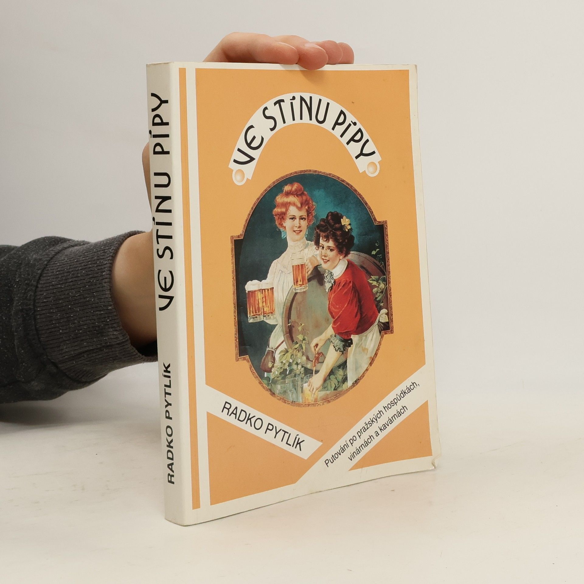 Radko Pytlík Ve stínu pípy. Hovory a fantazie