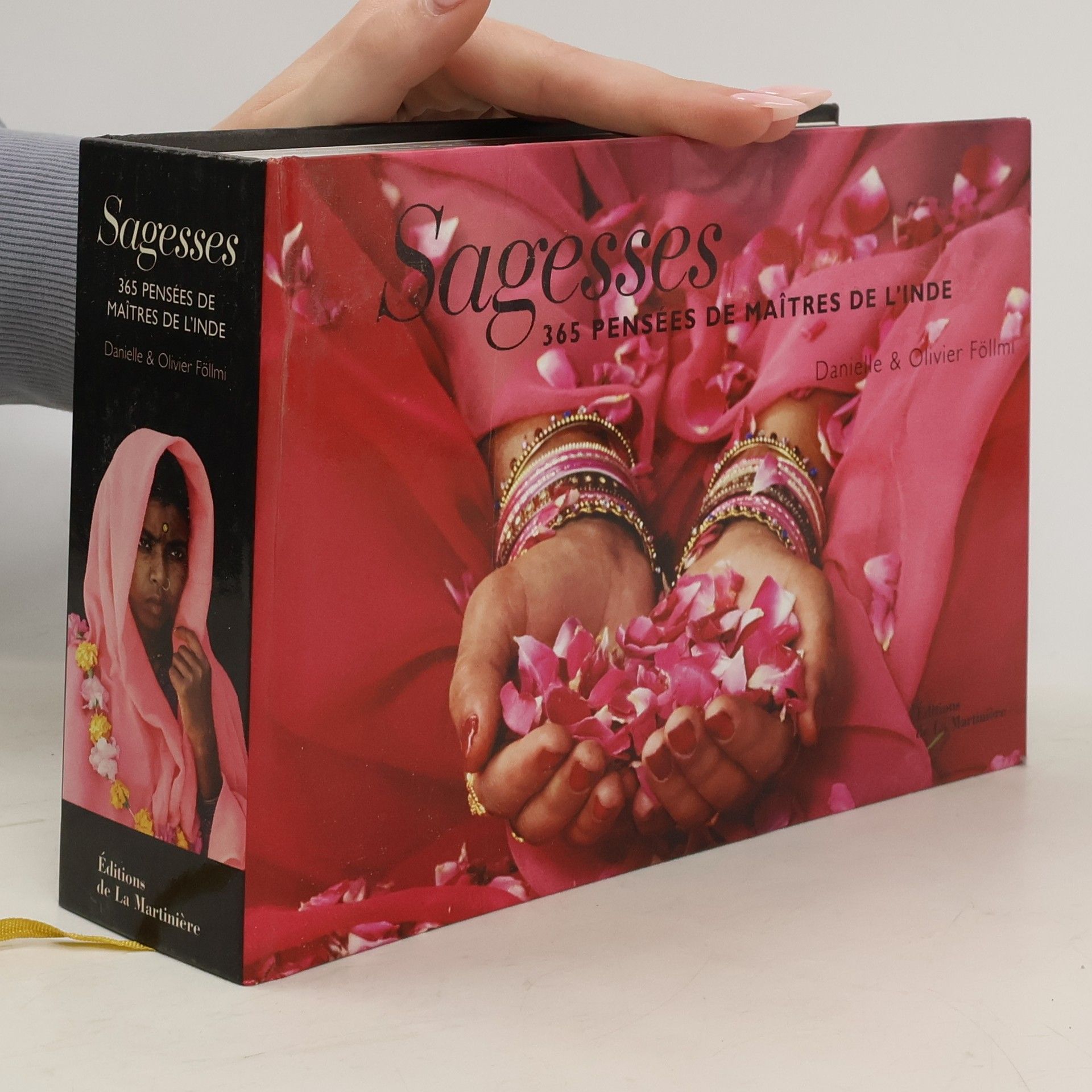 Danièle Föllmi Sagesses