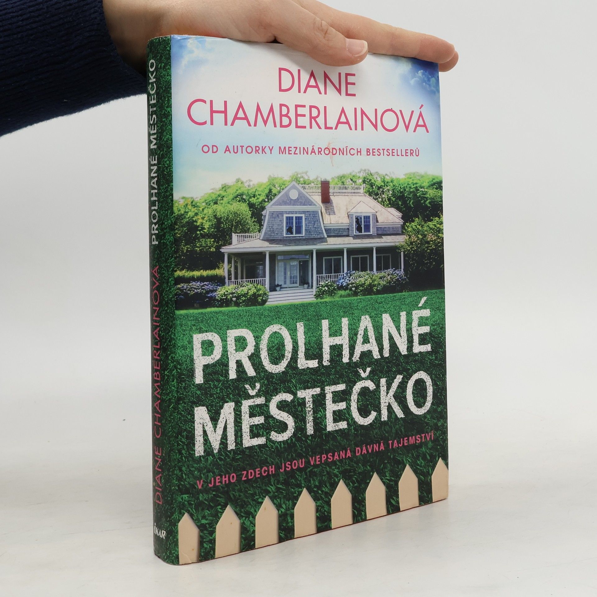 Diane Chamberlain Prolhané městečko