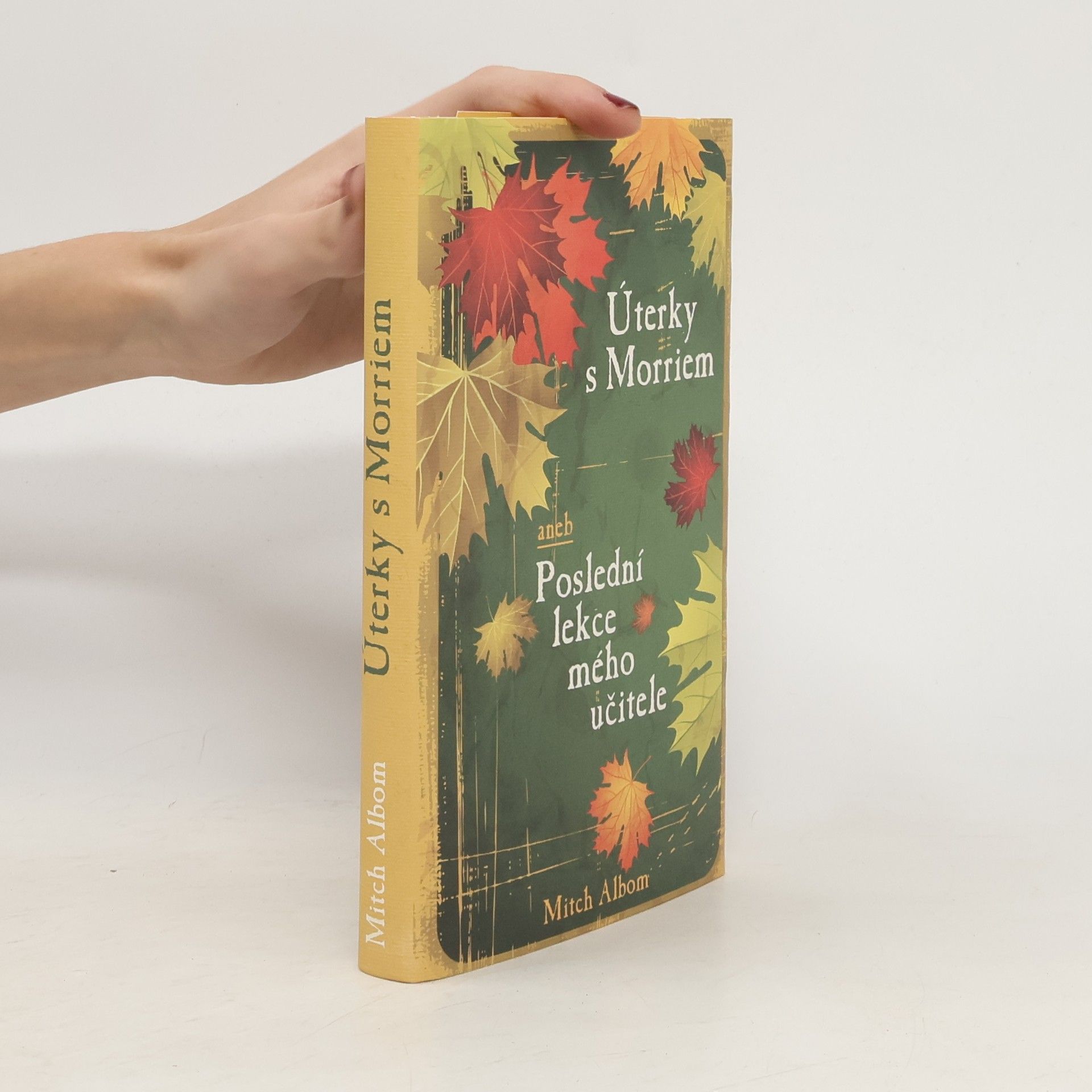 Mitch Albom Úterky s Morriem