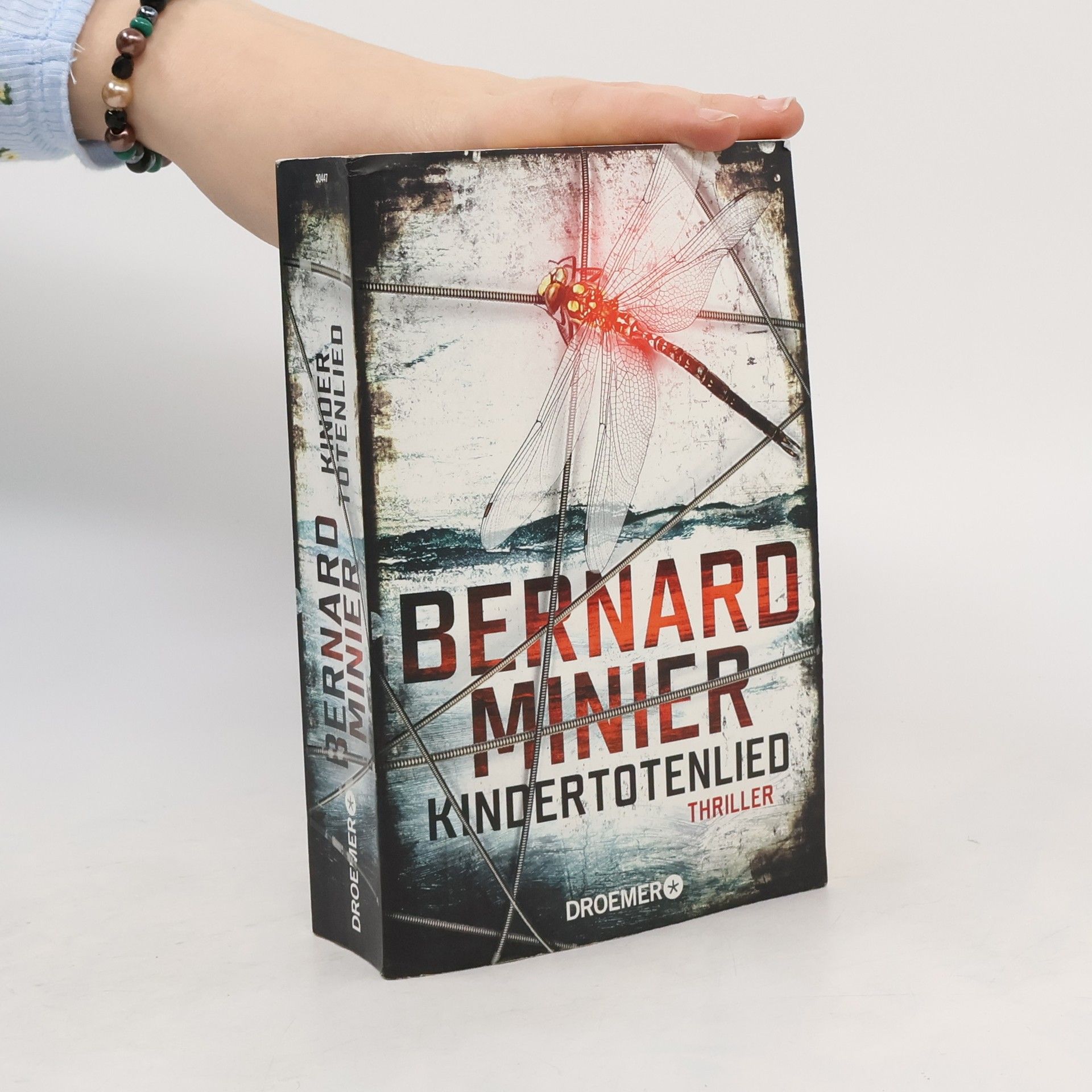 Bernard Minier Kindertotenlied