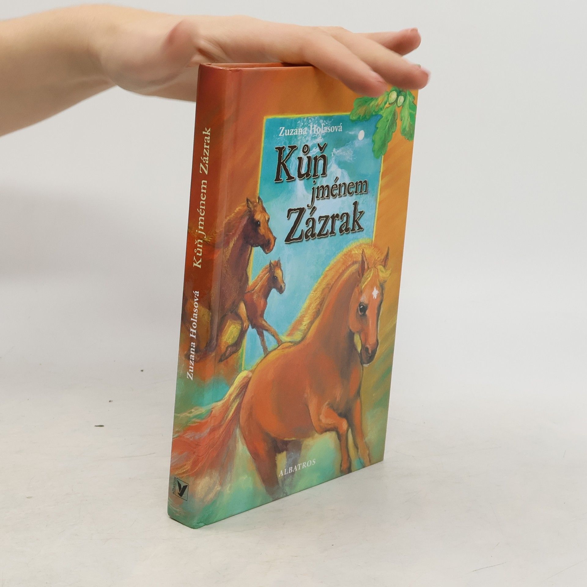 Kůň jménem Zázrak