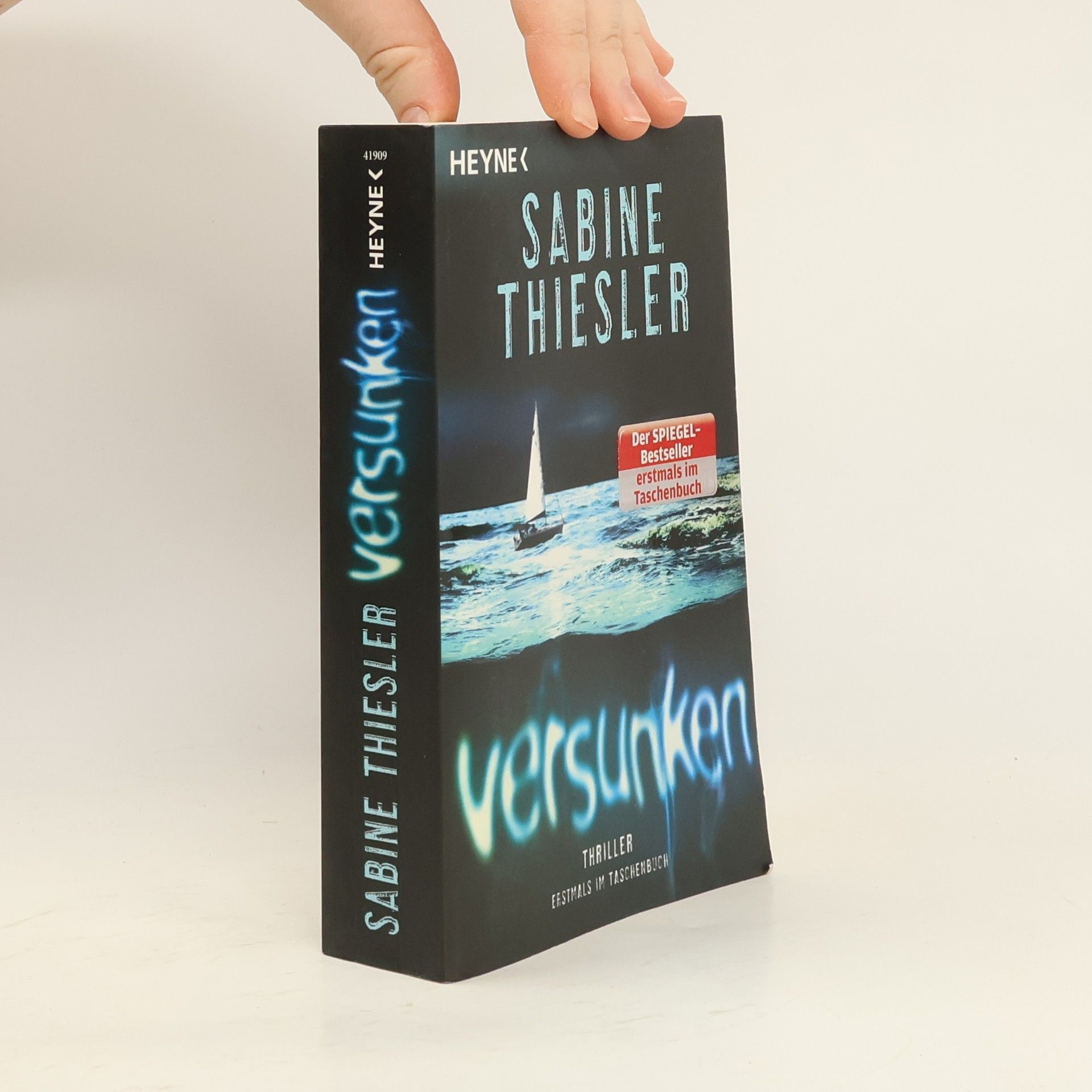 Sabine Thiesler Versunken