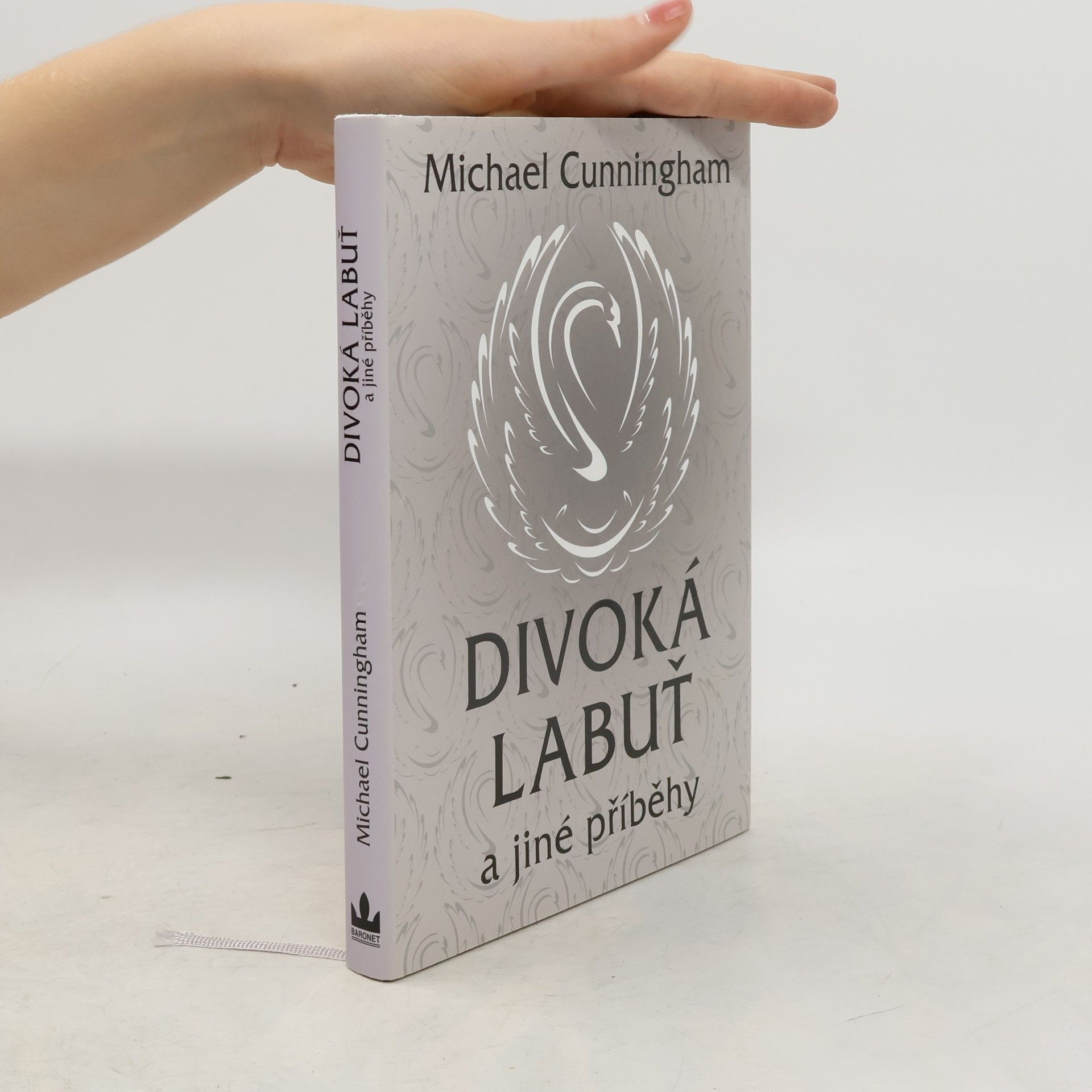 Michael Cunningham Divoká labuť a jiné příběhy