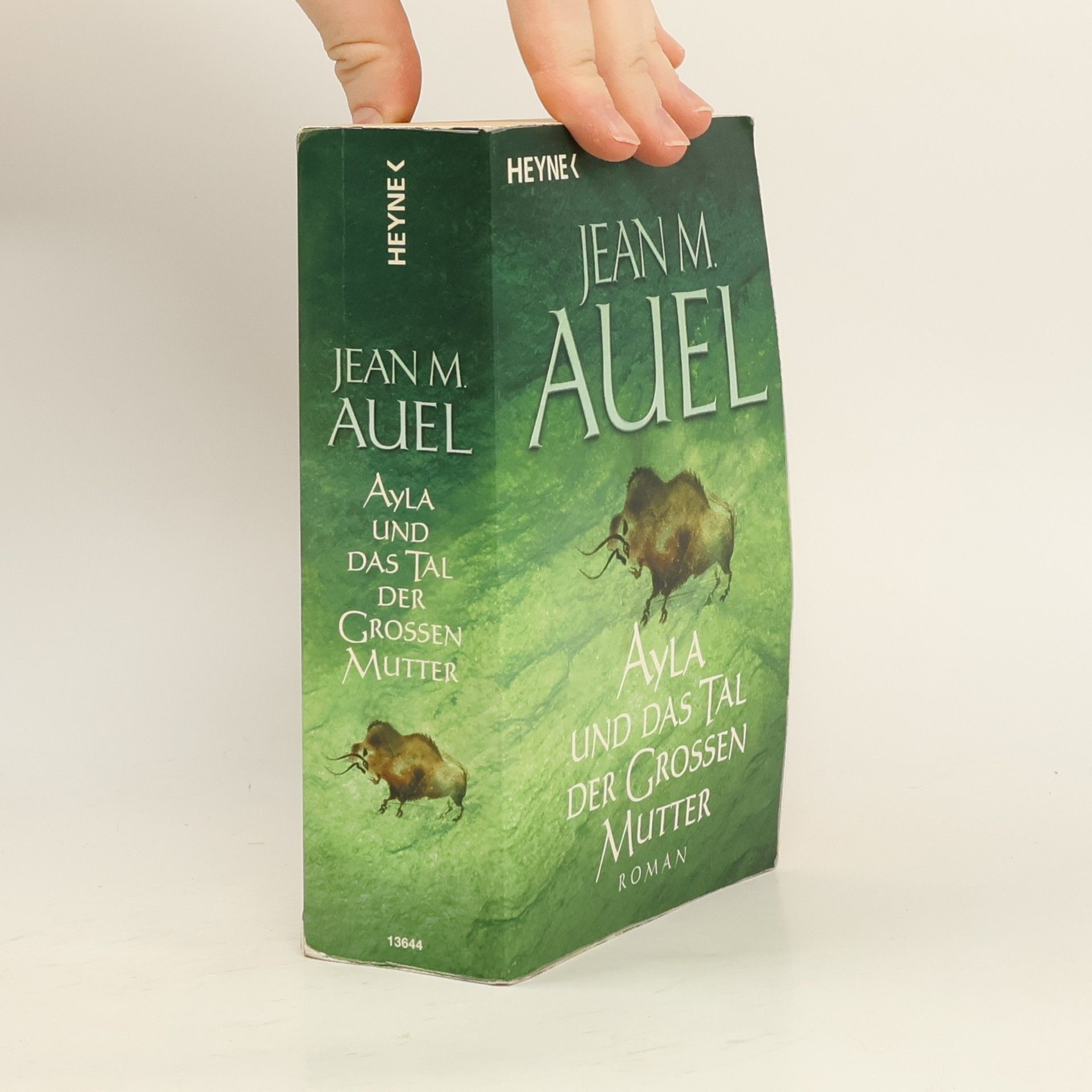 Jean M. Jean Marie Auel Ayla und das Tal der Grossen Mutter