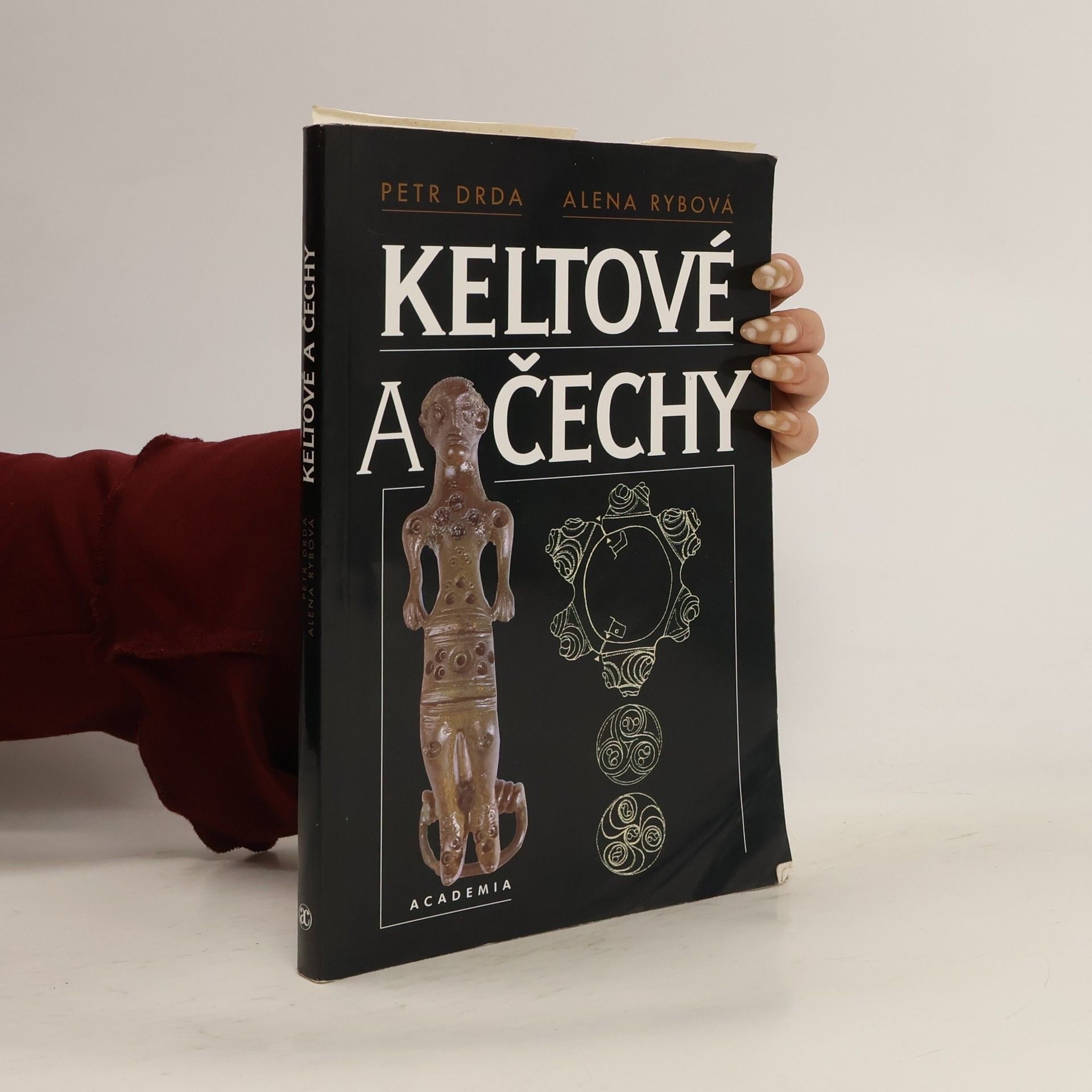 Petr Drda Keltové a Čechy