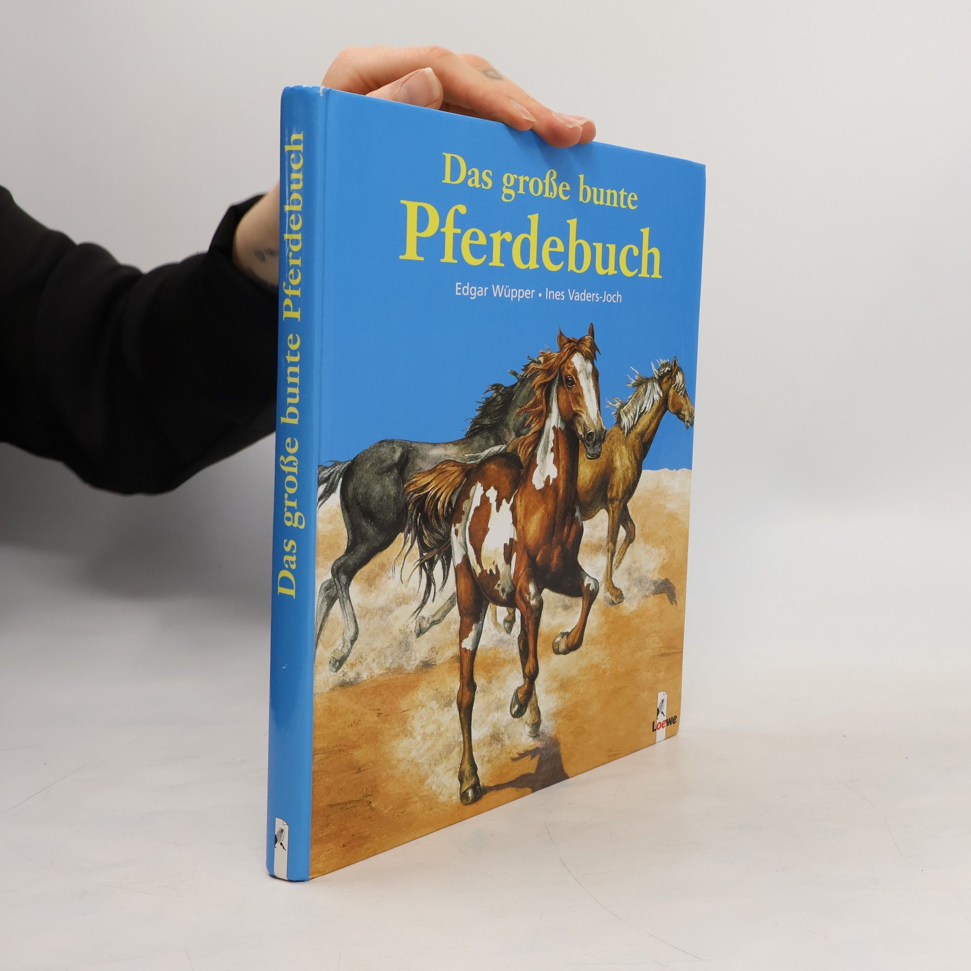 Das große bunte Pferdebuch