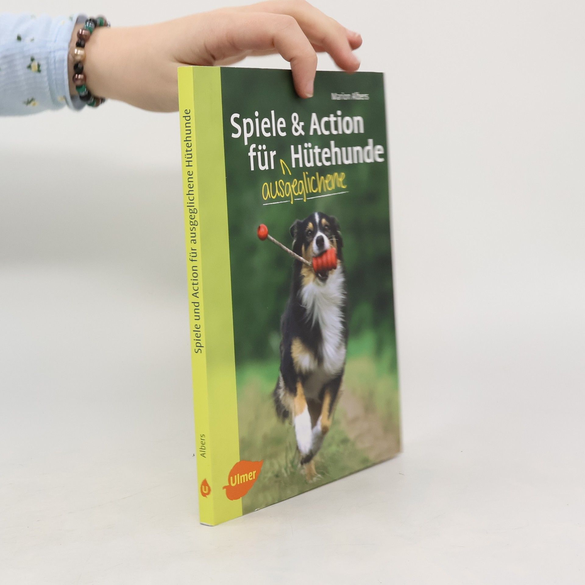 Spiele und Action für ausgeglichene Hütehunde