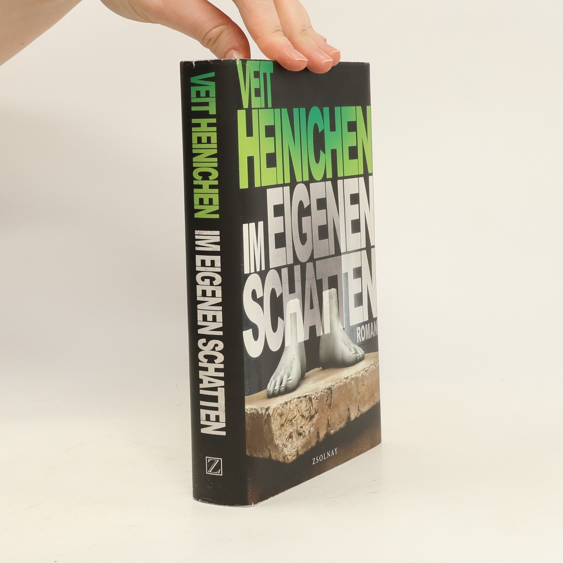 Veit Heinichen Im eigenen Schatten