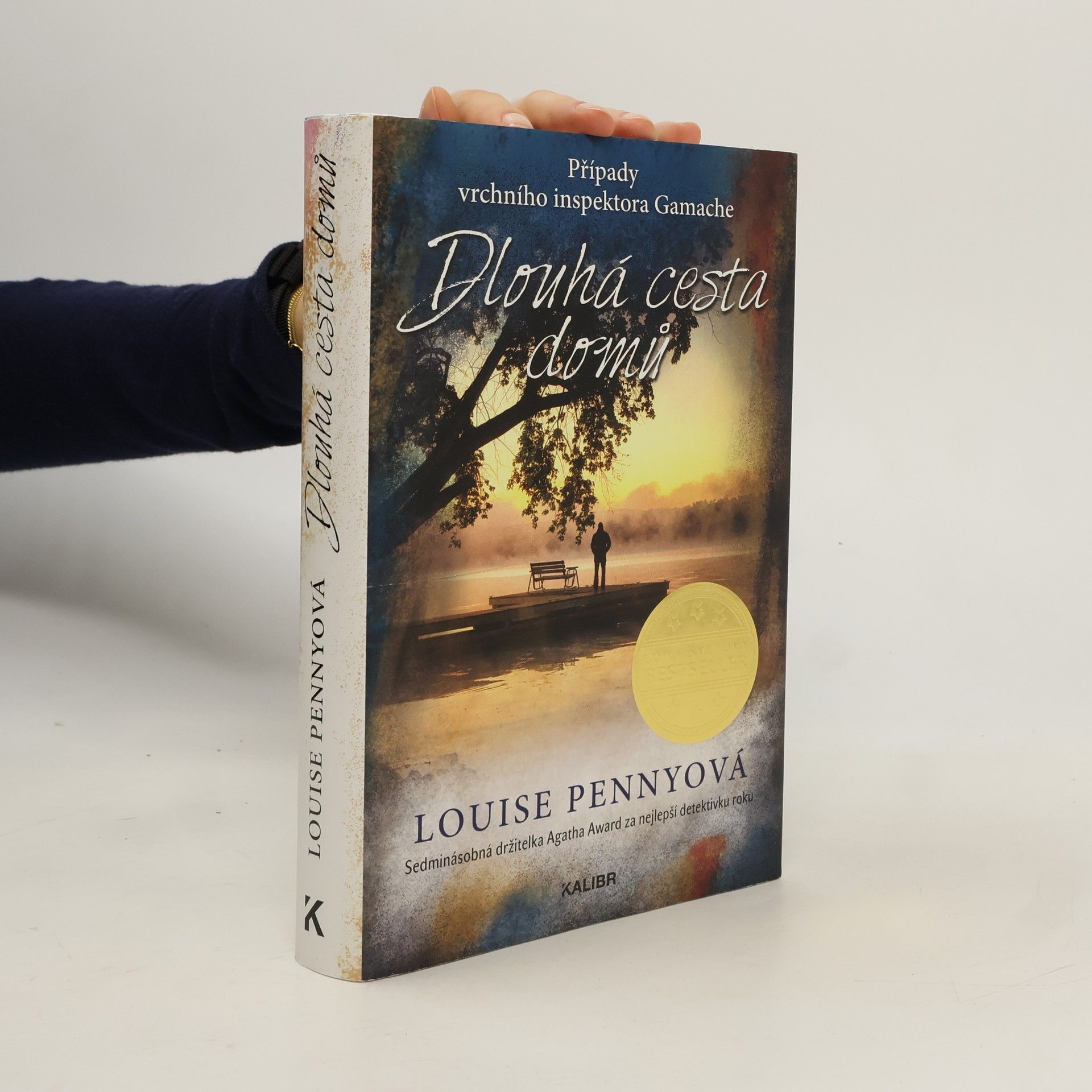 Louise Penny Dlouhá cesta domů