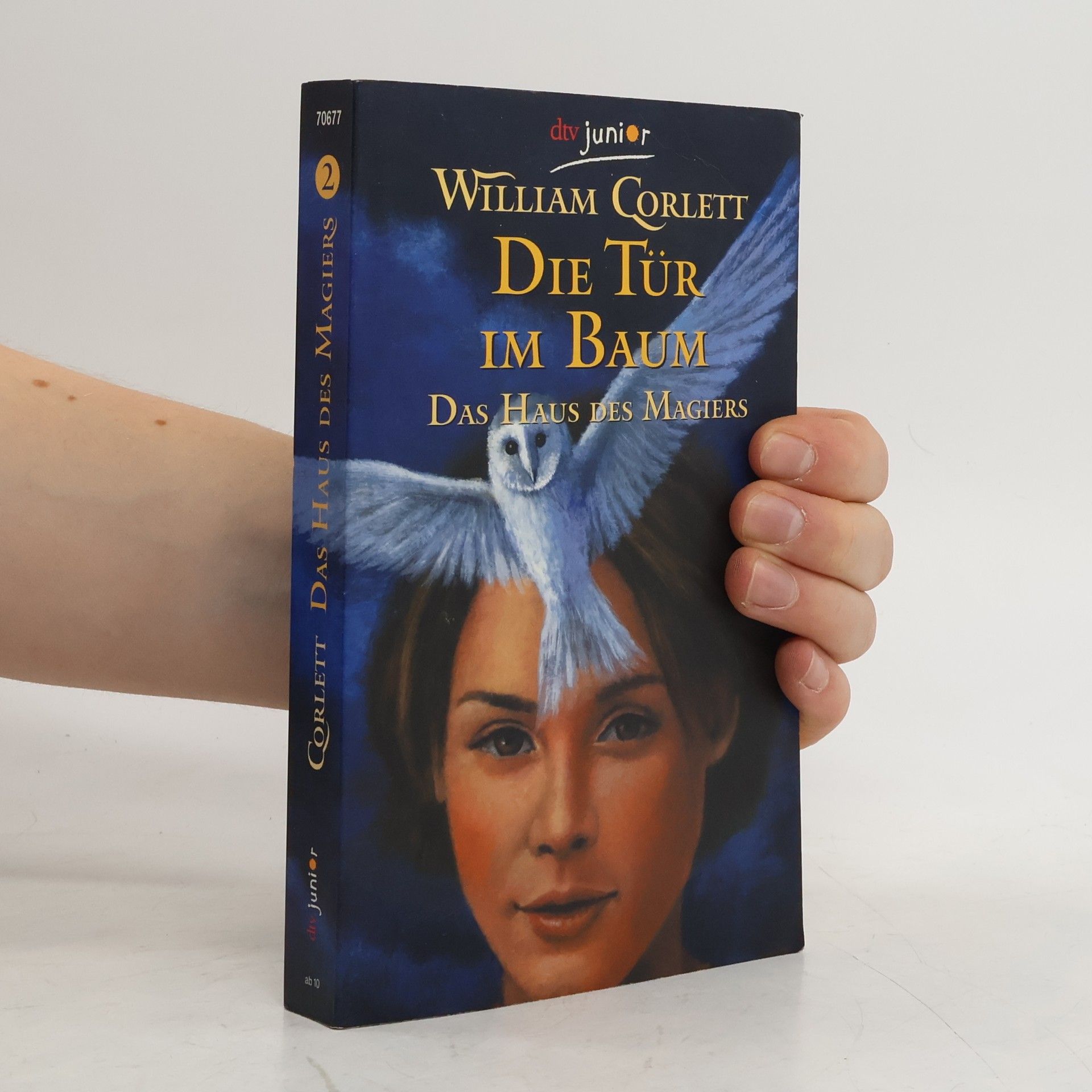 Das Haus des Magiers