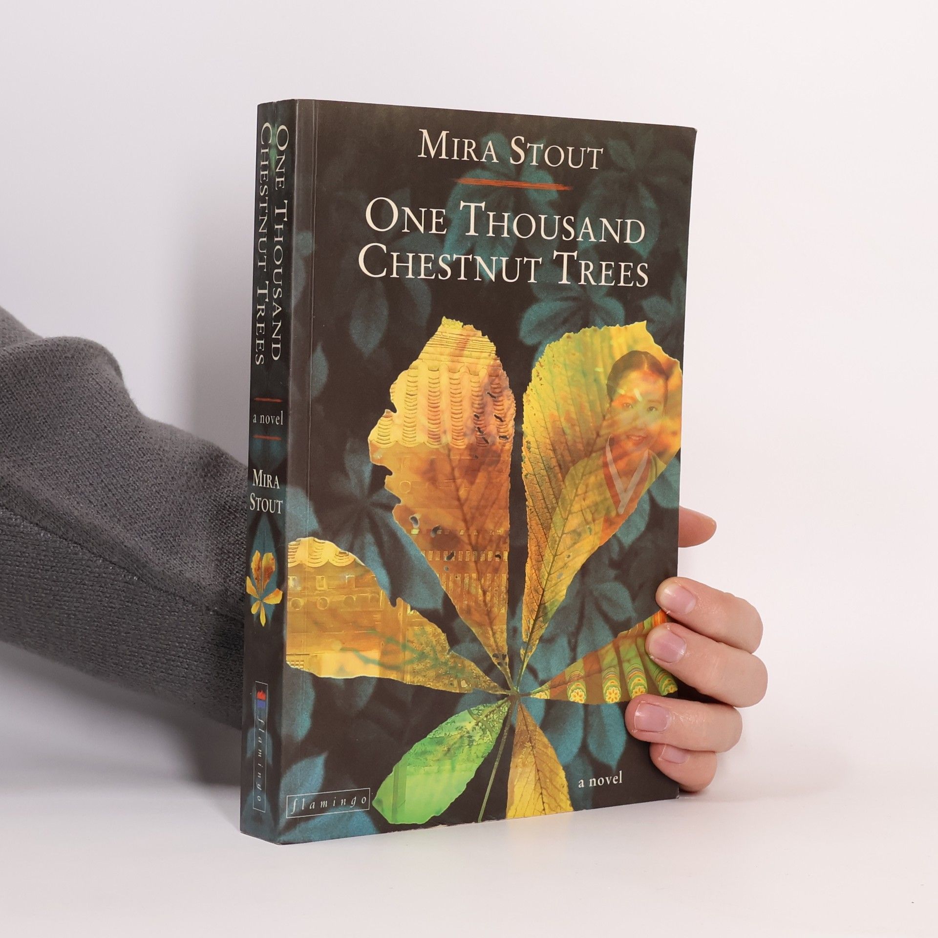 Mira Stout One Thousand Chestnut Trees