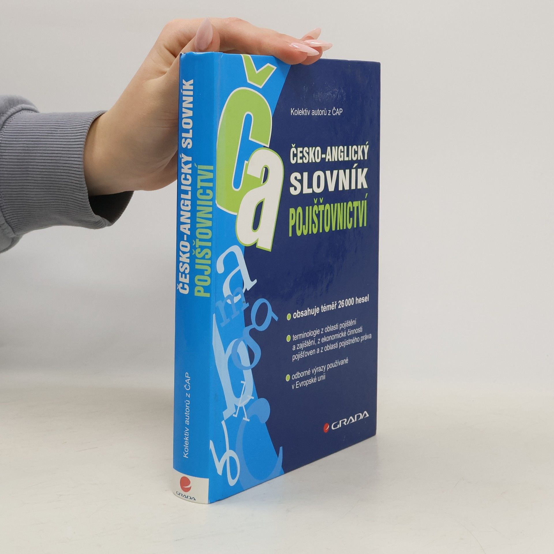 AA.VV. Česko-anglický slovník pojišťovnictví