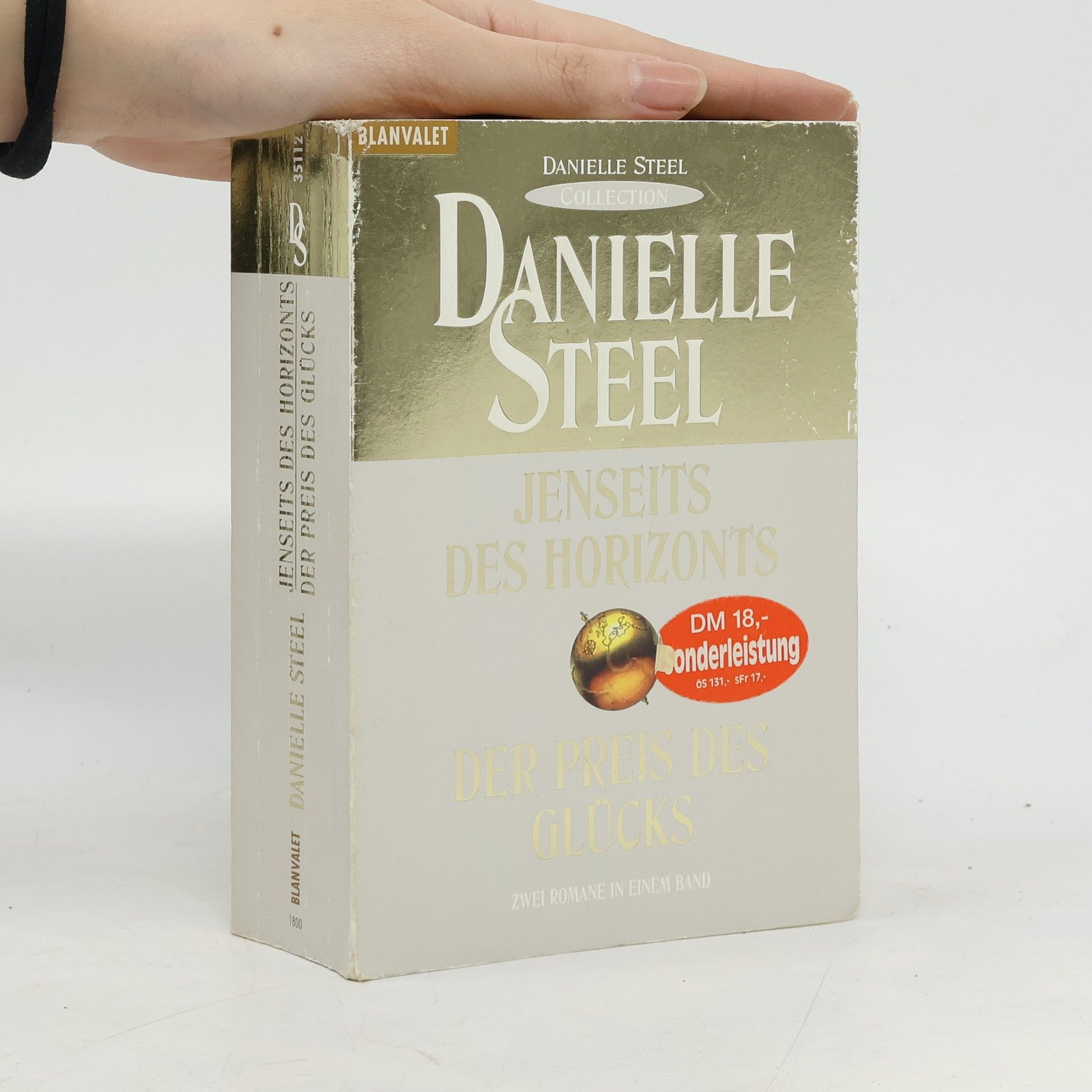 Danielle Steel Jenseits des Horizonts. Der Preis des Glücks
