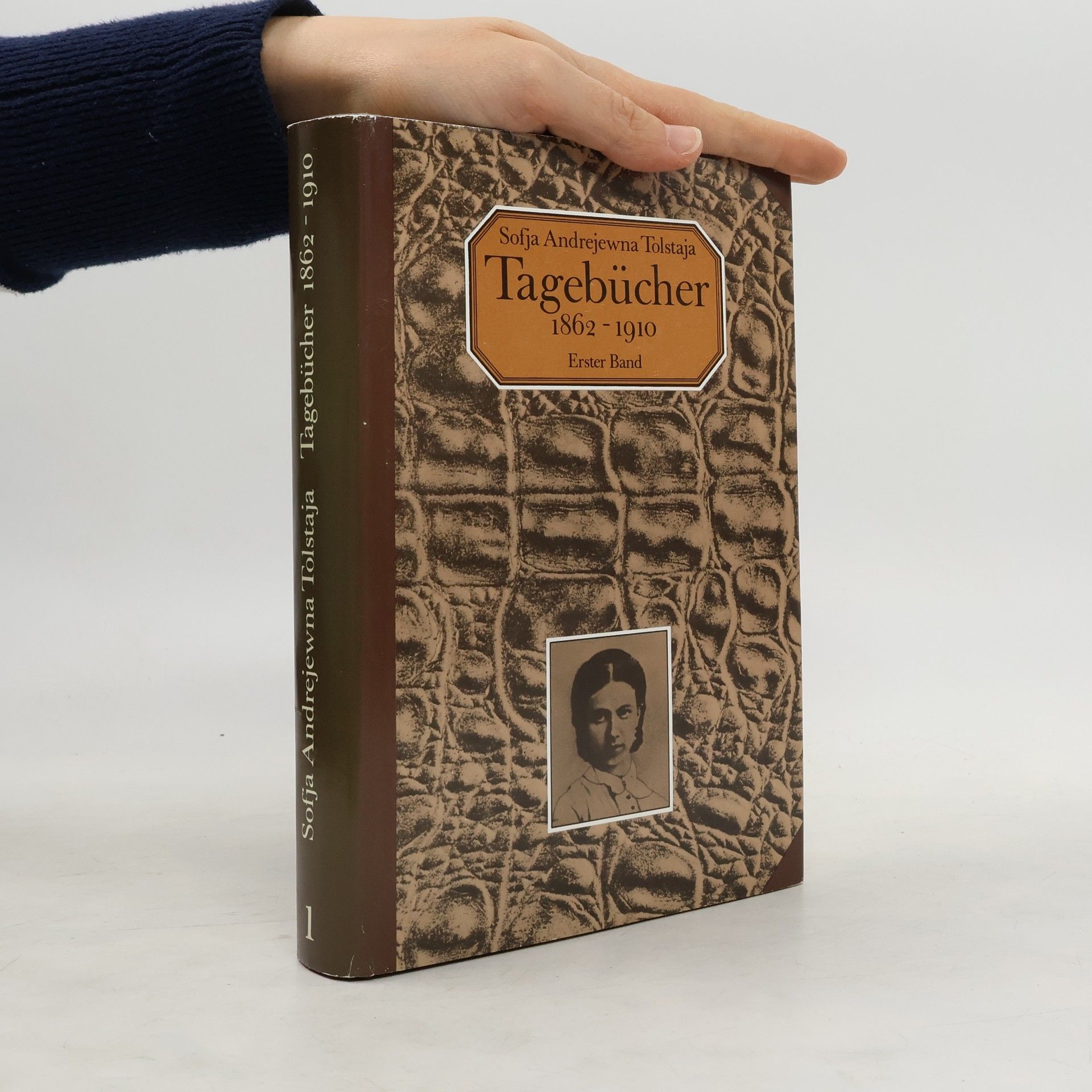 Tagebücher 1. 1862-1910