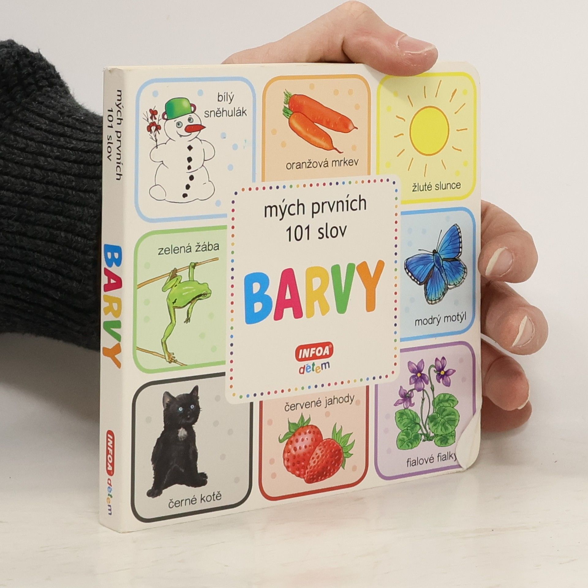 Kolektiv autorů Barvy: mých prvních 101 slov