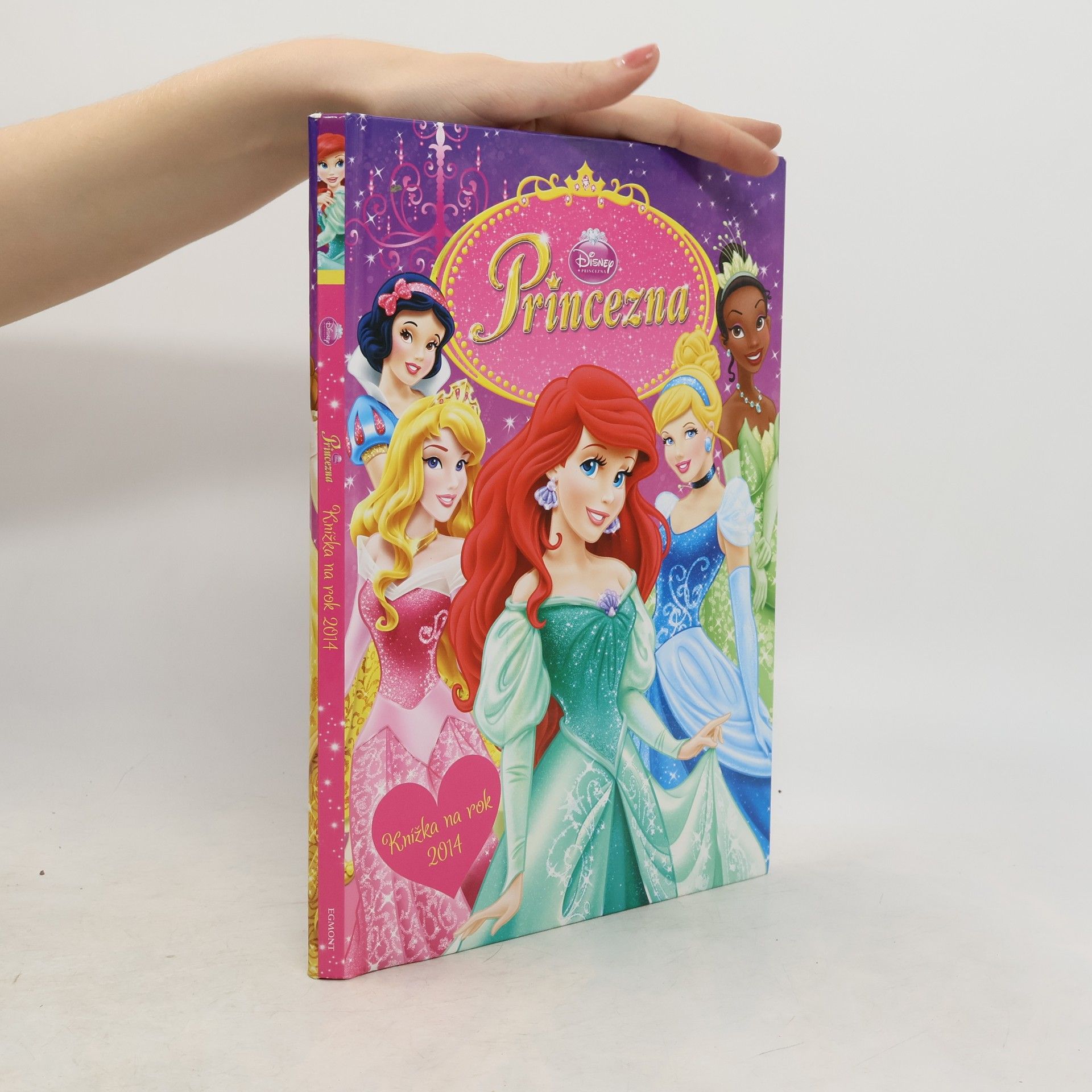 Walt Disney Princezna - Knížka na rok 2014