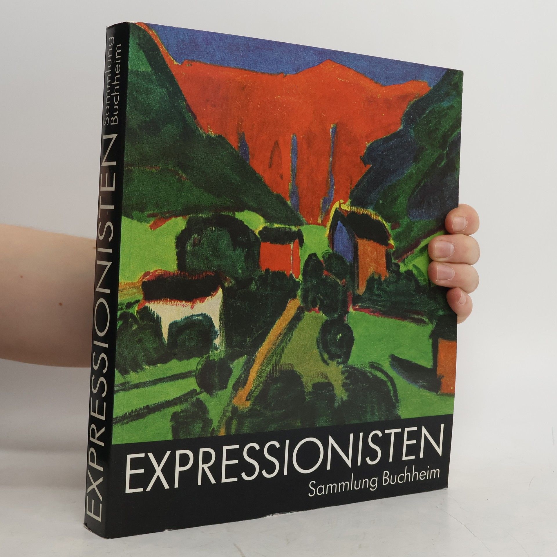Expressionisten. Sammlung Buchheim