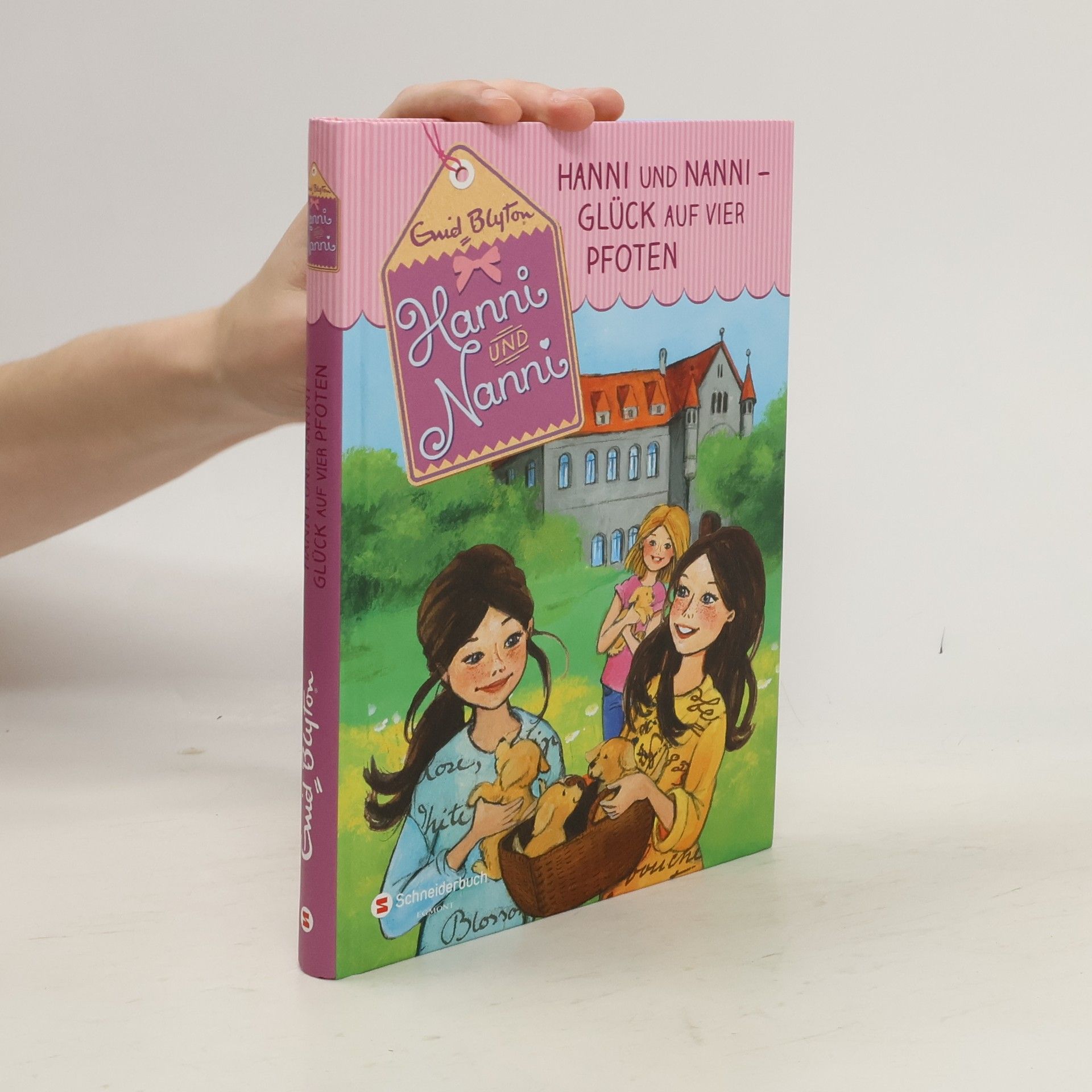 Eleni Livanios Hanni und Nanni, Band 30