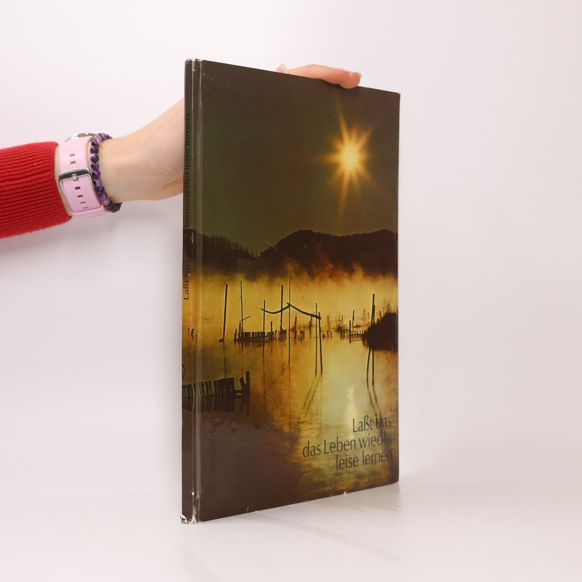 Autorenkollektiv Laßt uns das Leben wieder leise lernen