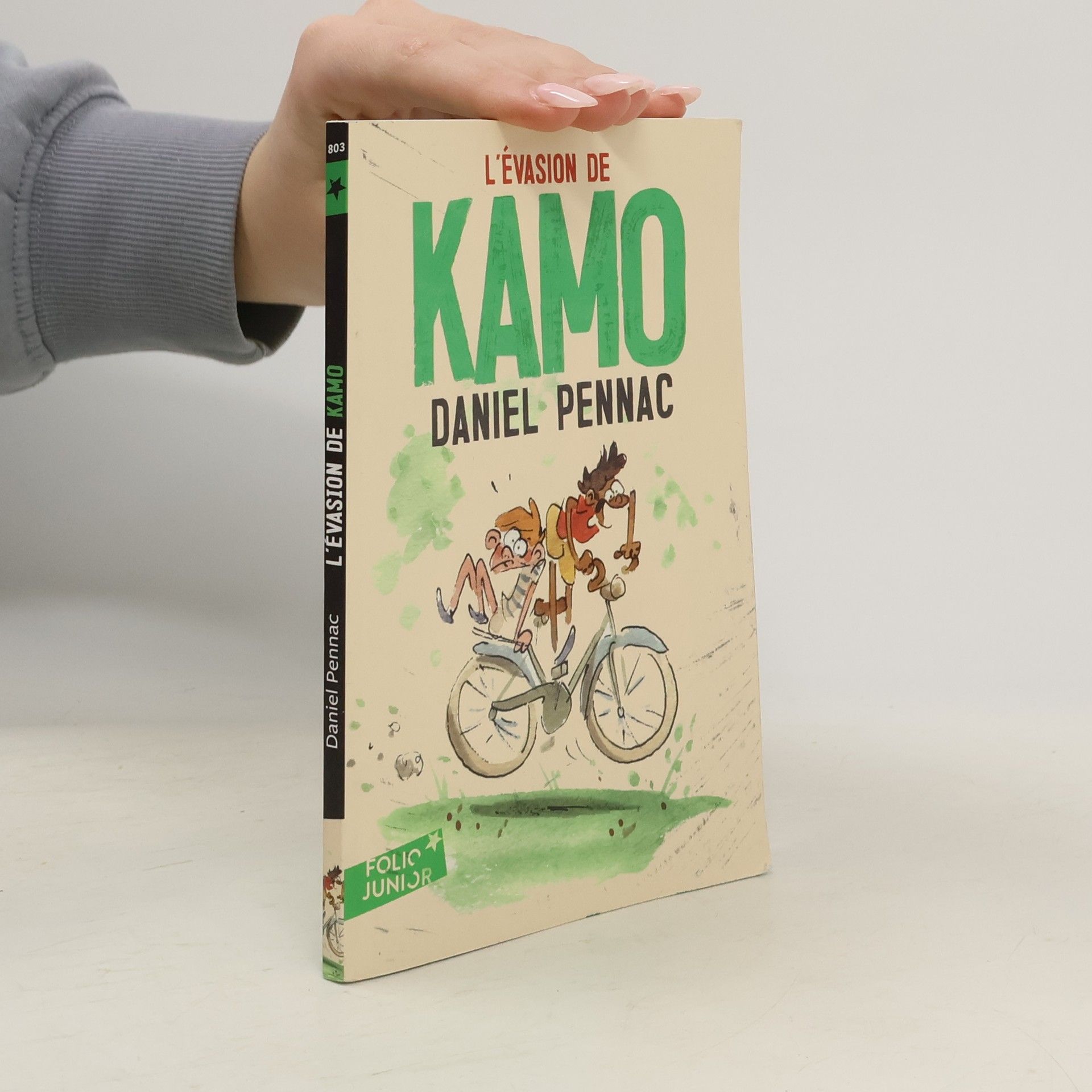 Daniel Pennac L'Evasion de Kamo