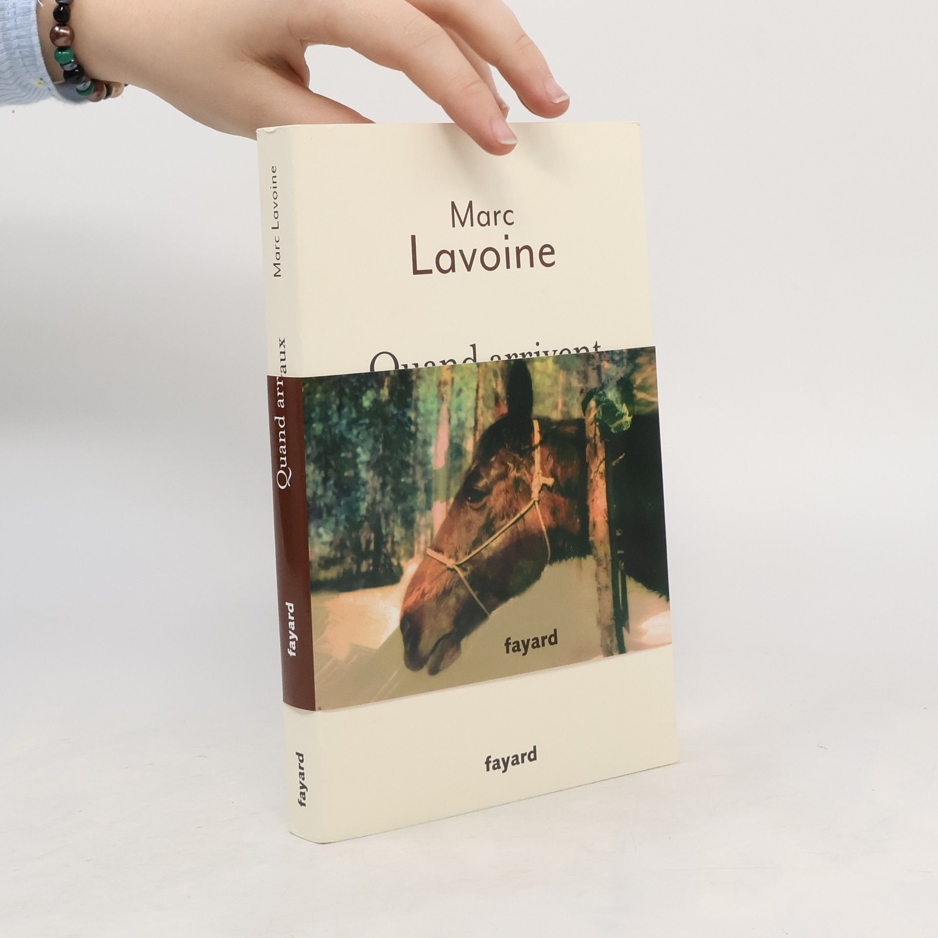 Marc Lavoine Quand arrivent les chevaux