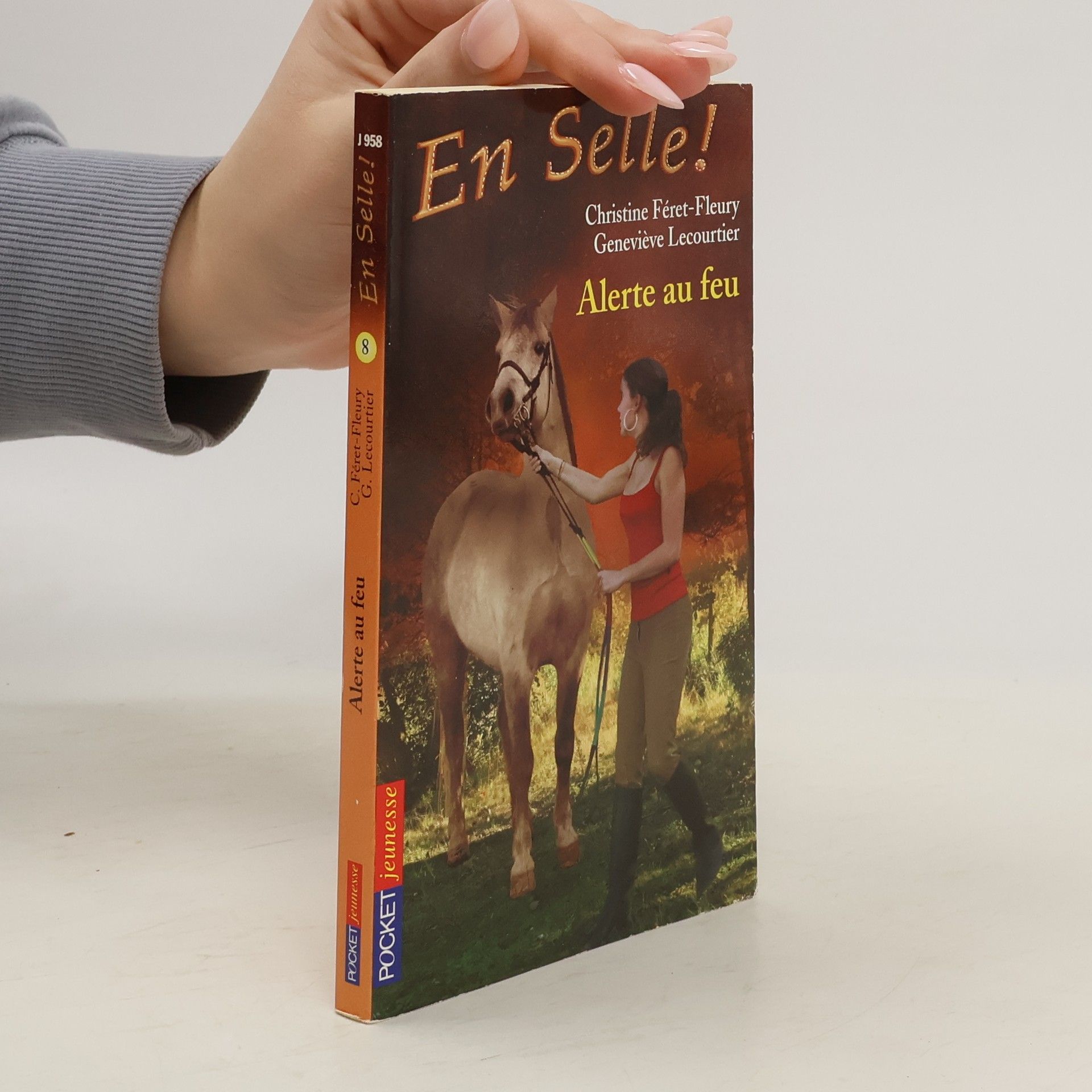 Christine Féret-Fleury Alerte au feu