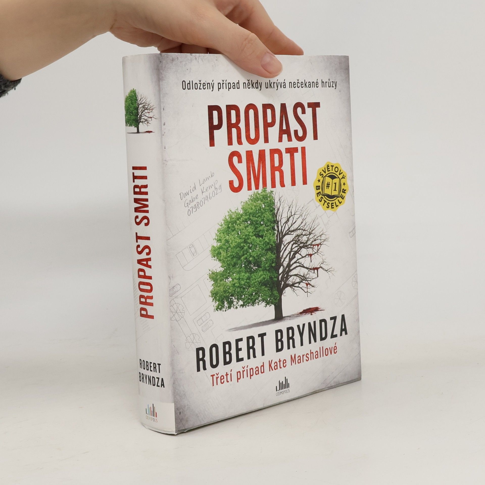Robert Bryndza Propast smrti