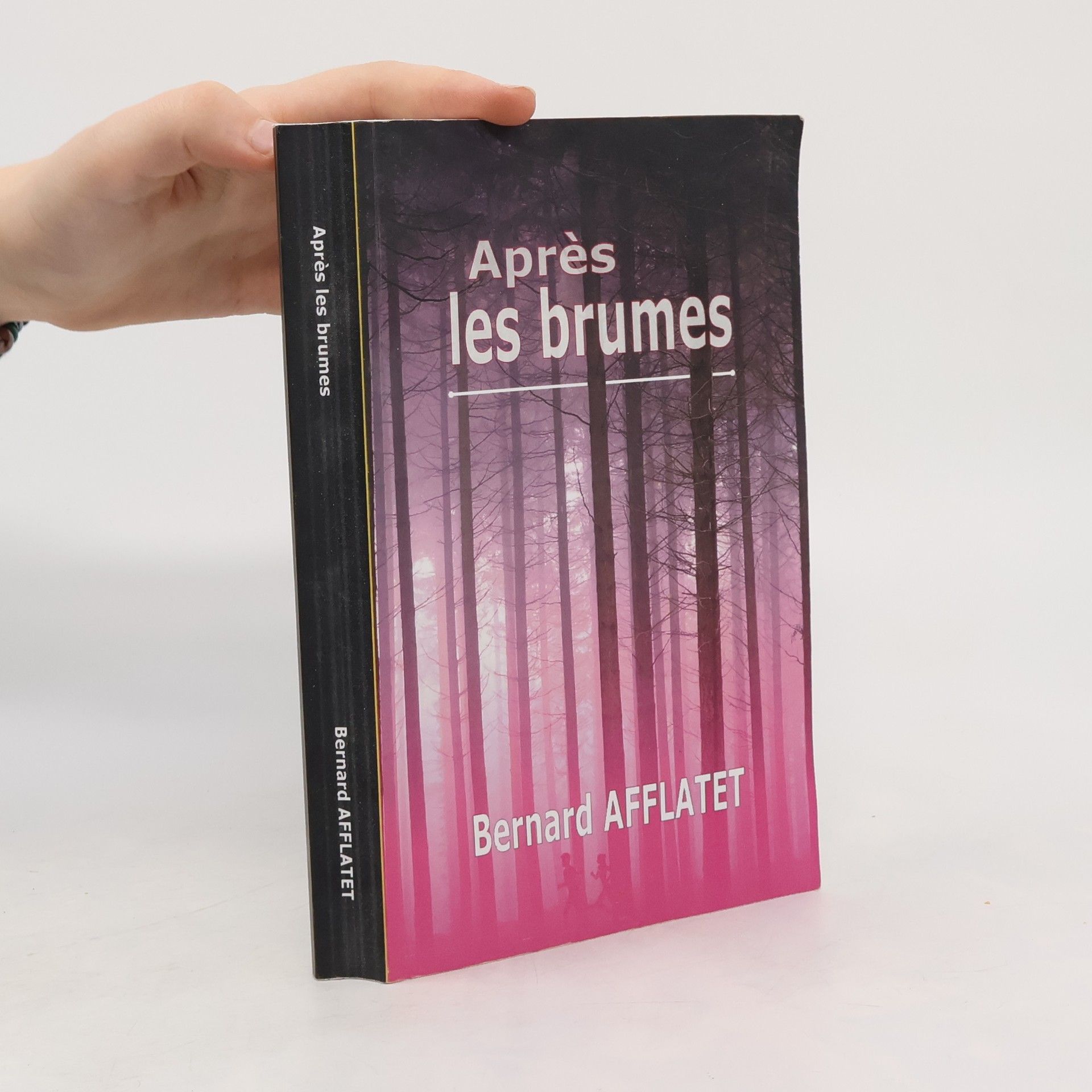 Bernard Afflatet Après les brumes (illustré)