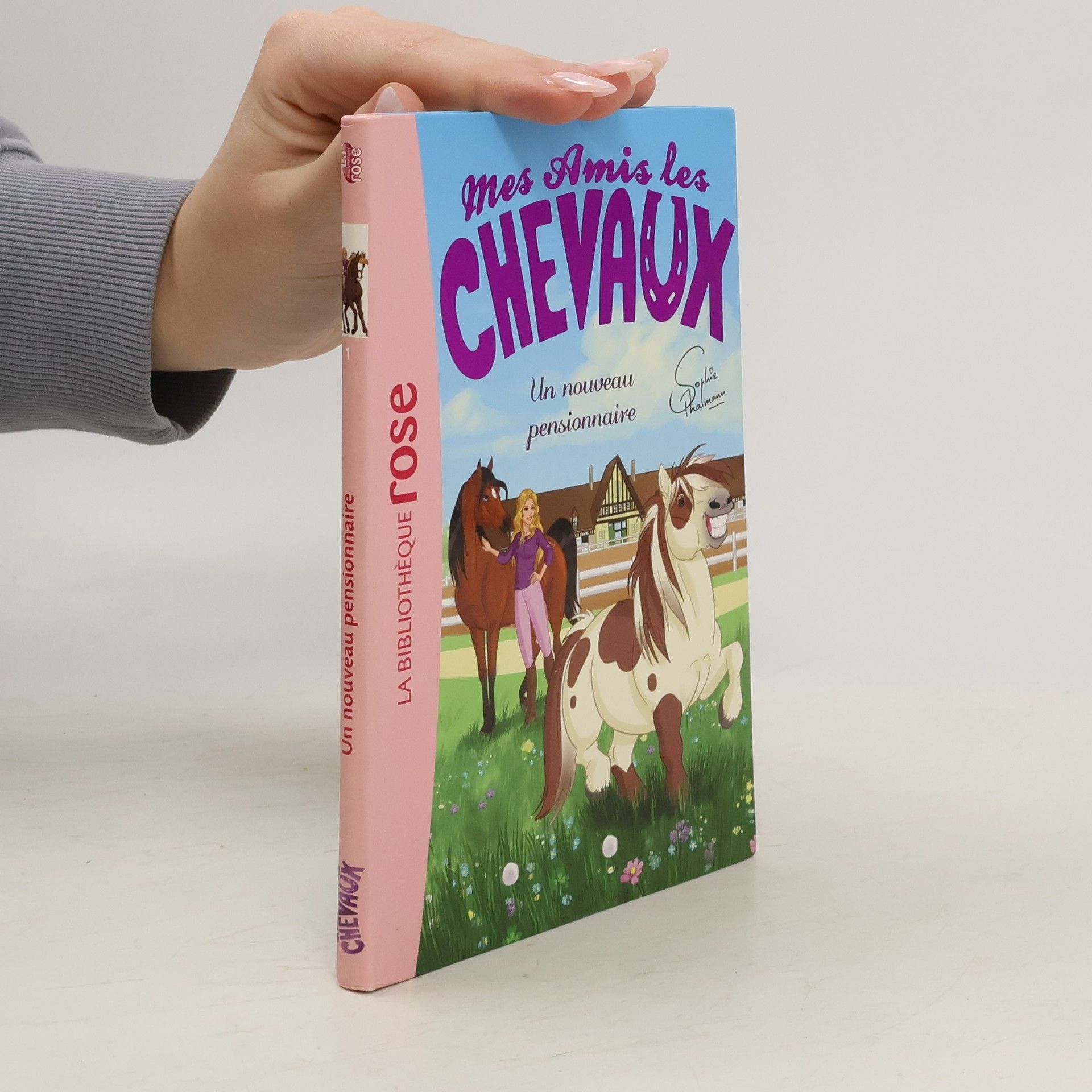 Mes Amis les Chevaux. Un nouveau pensionnaire