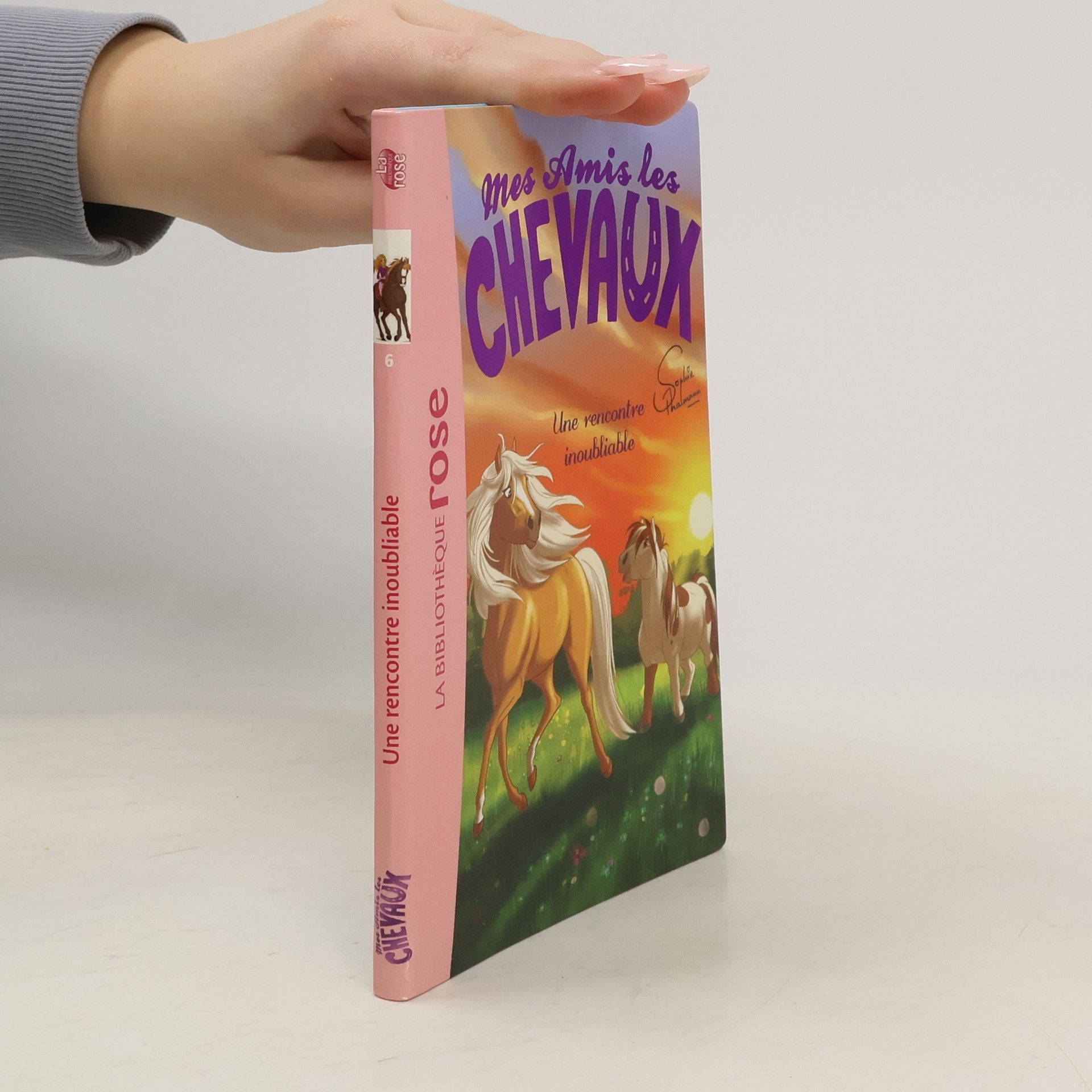 Mes Amis les Chevaux - 6: Une rencontre inoubliable