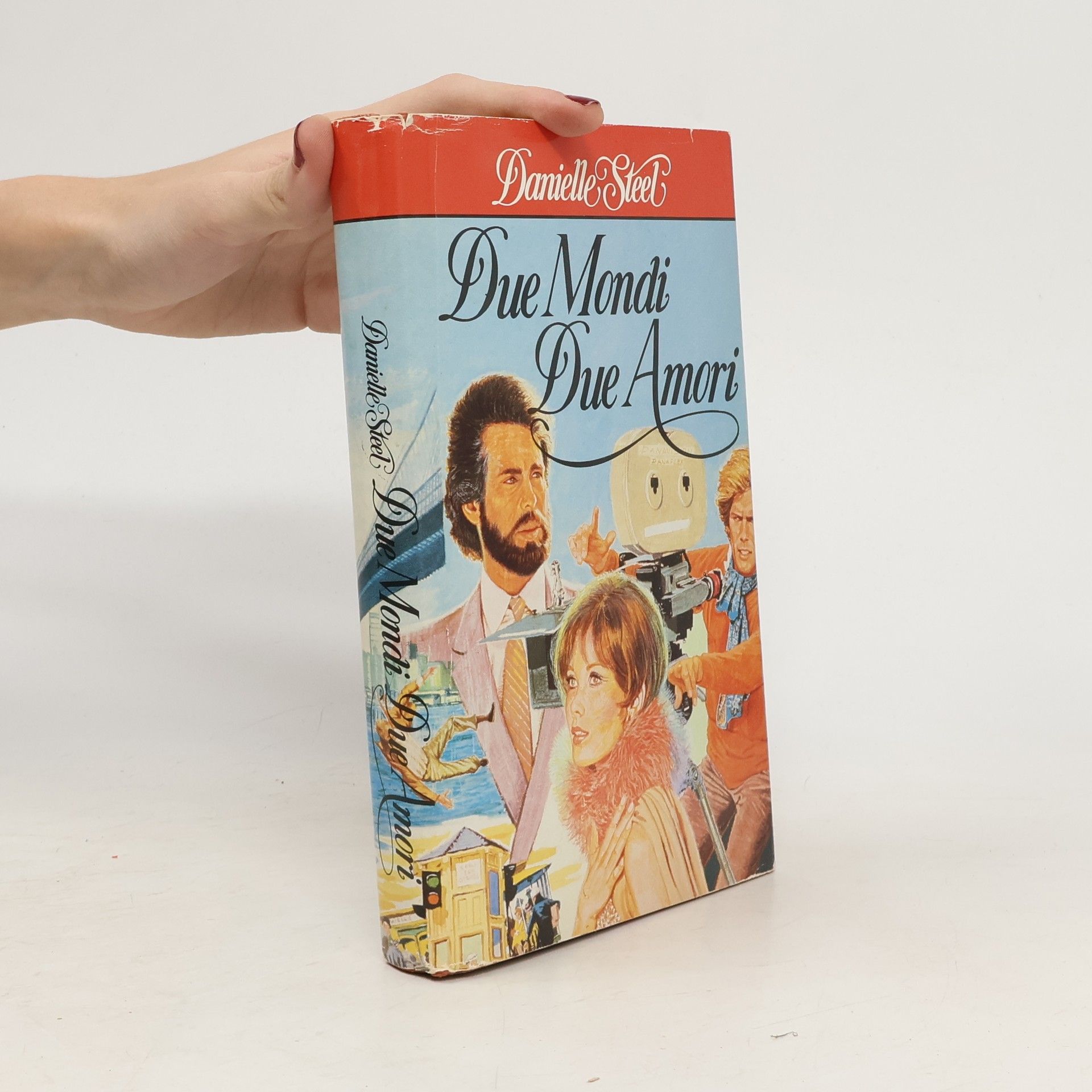 Danielle Steel Die Mondi due Amori