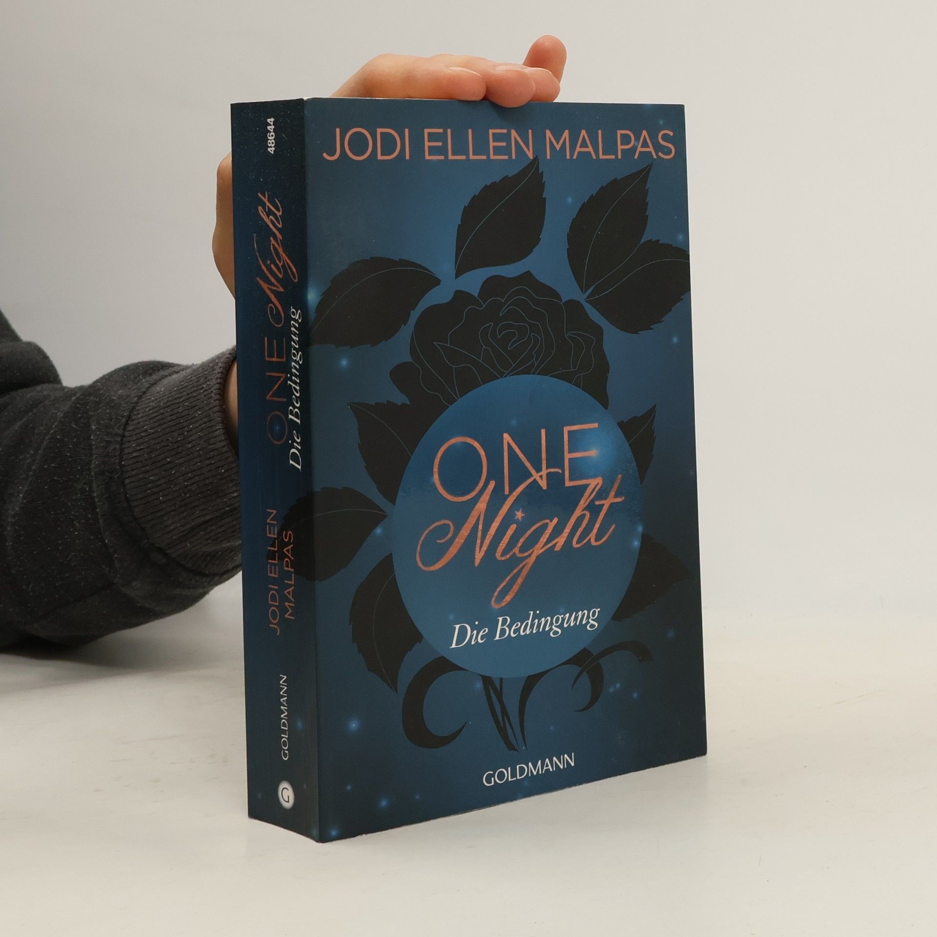 Nicole Hölsken One night - die Bedingung