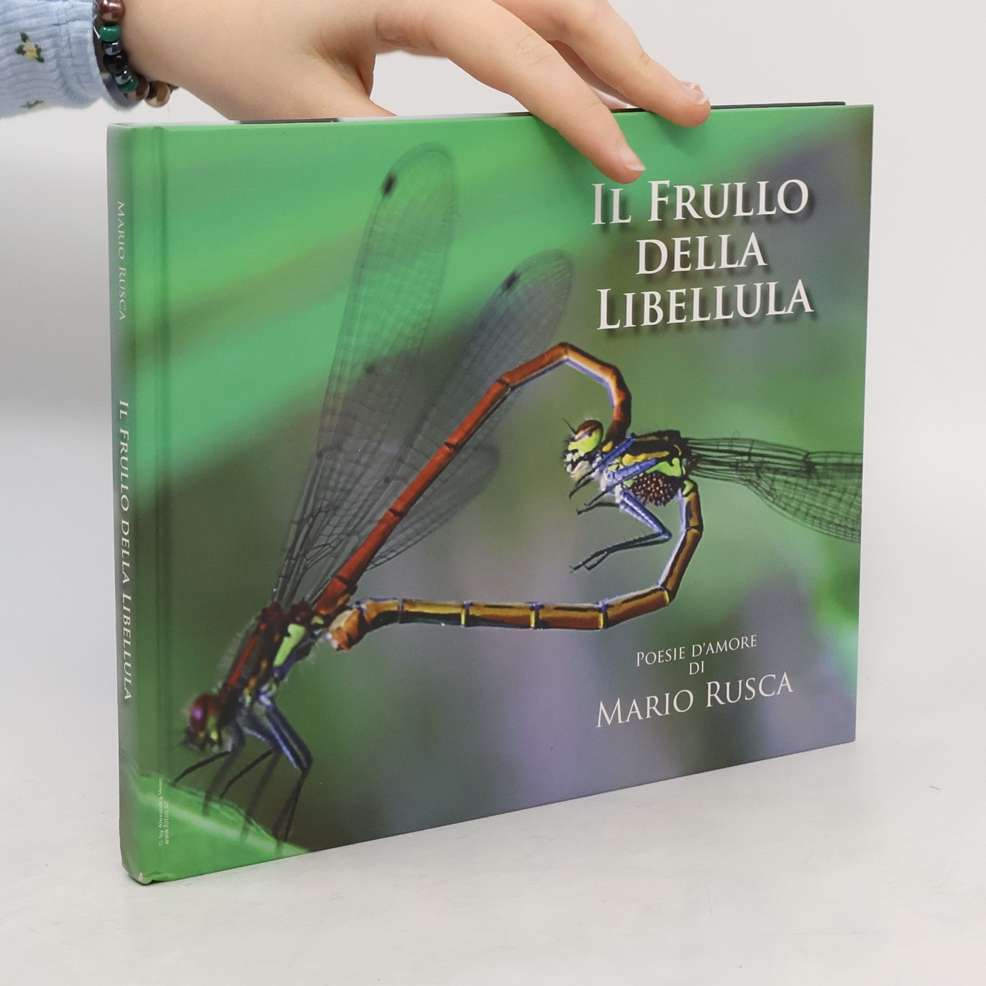 Mario Rusca Il frullo della libellula