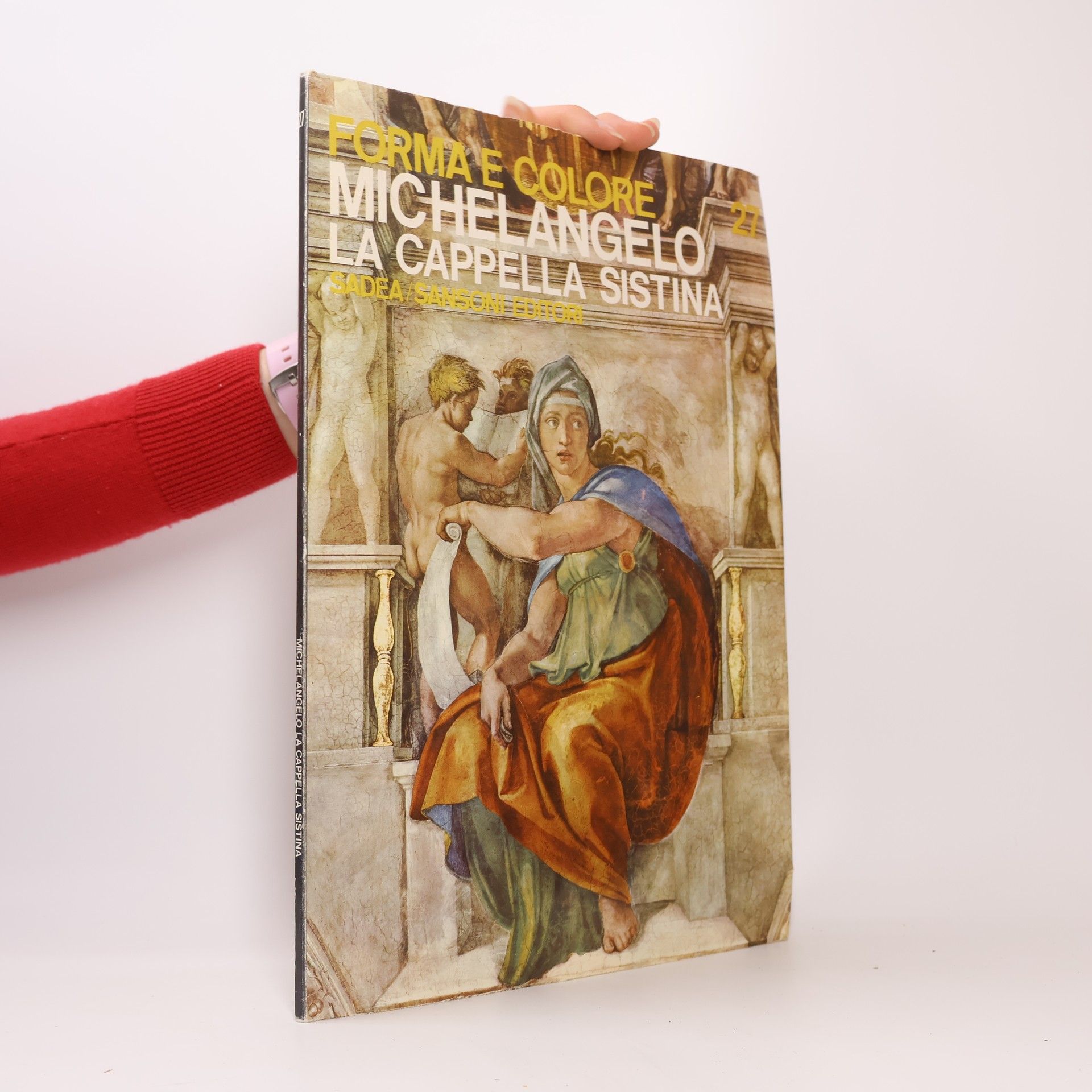 Forma e Colore. Michelangelo La Cappella Sistina