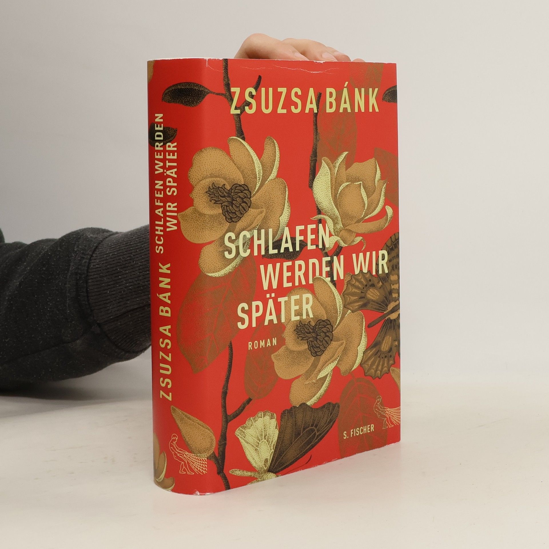 Zsuzsa Bánk Schlafen werden wir später