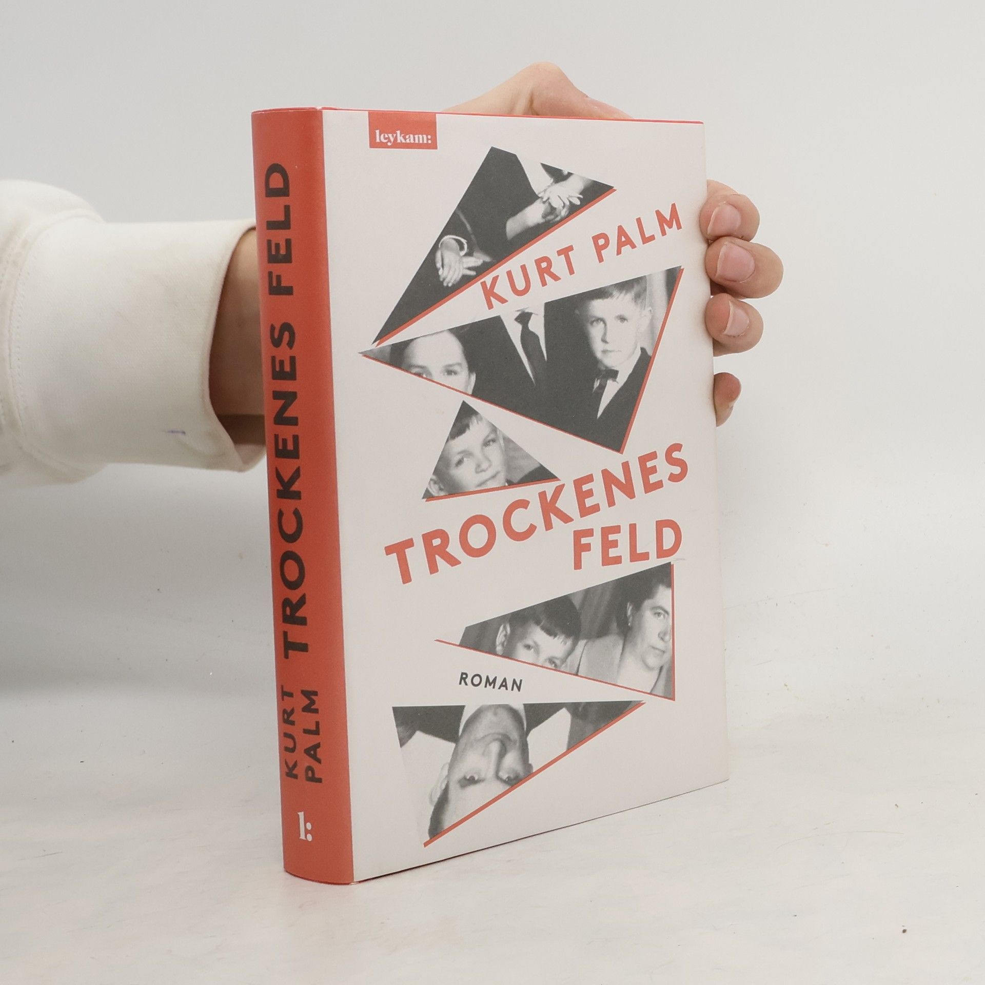 Trockenes Feld. Roman